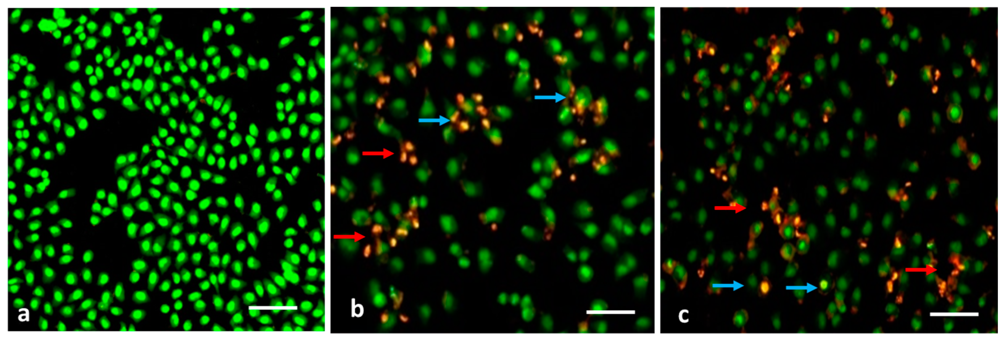 Nanomaterials 13 01227 g006