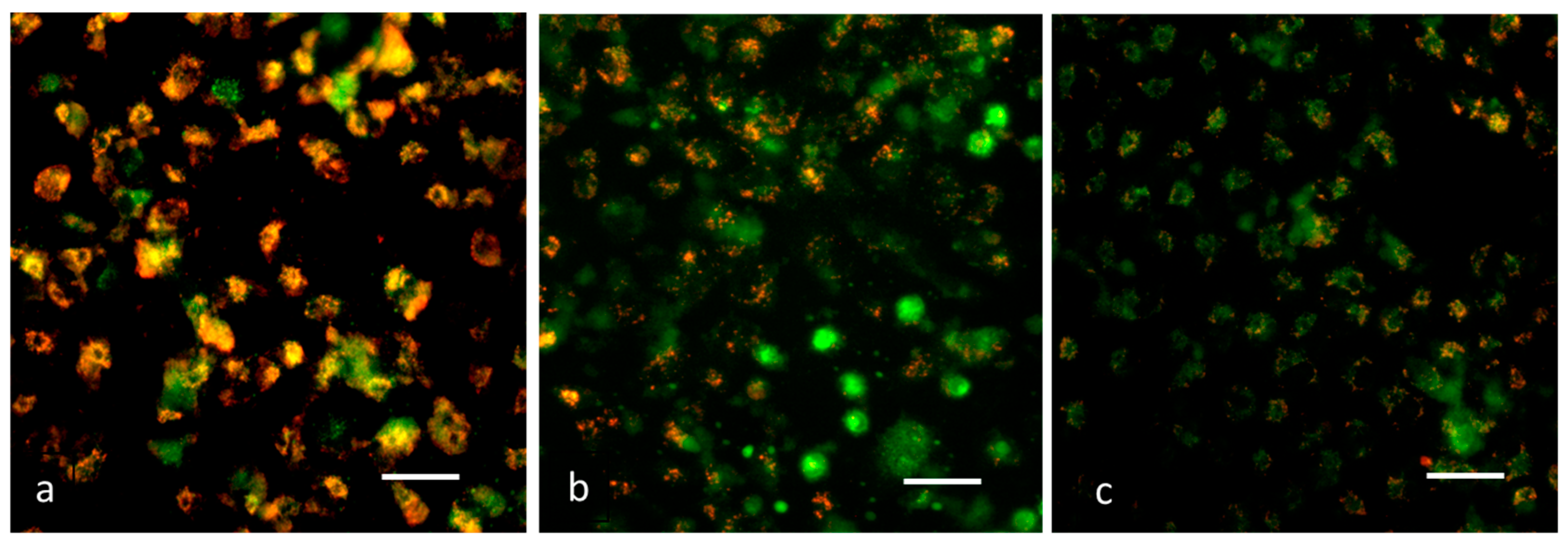 Nanomaterials 13 01227 g007