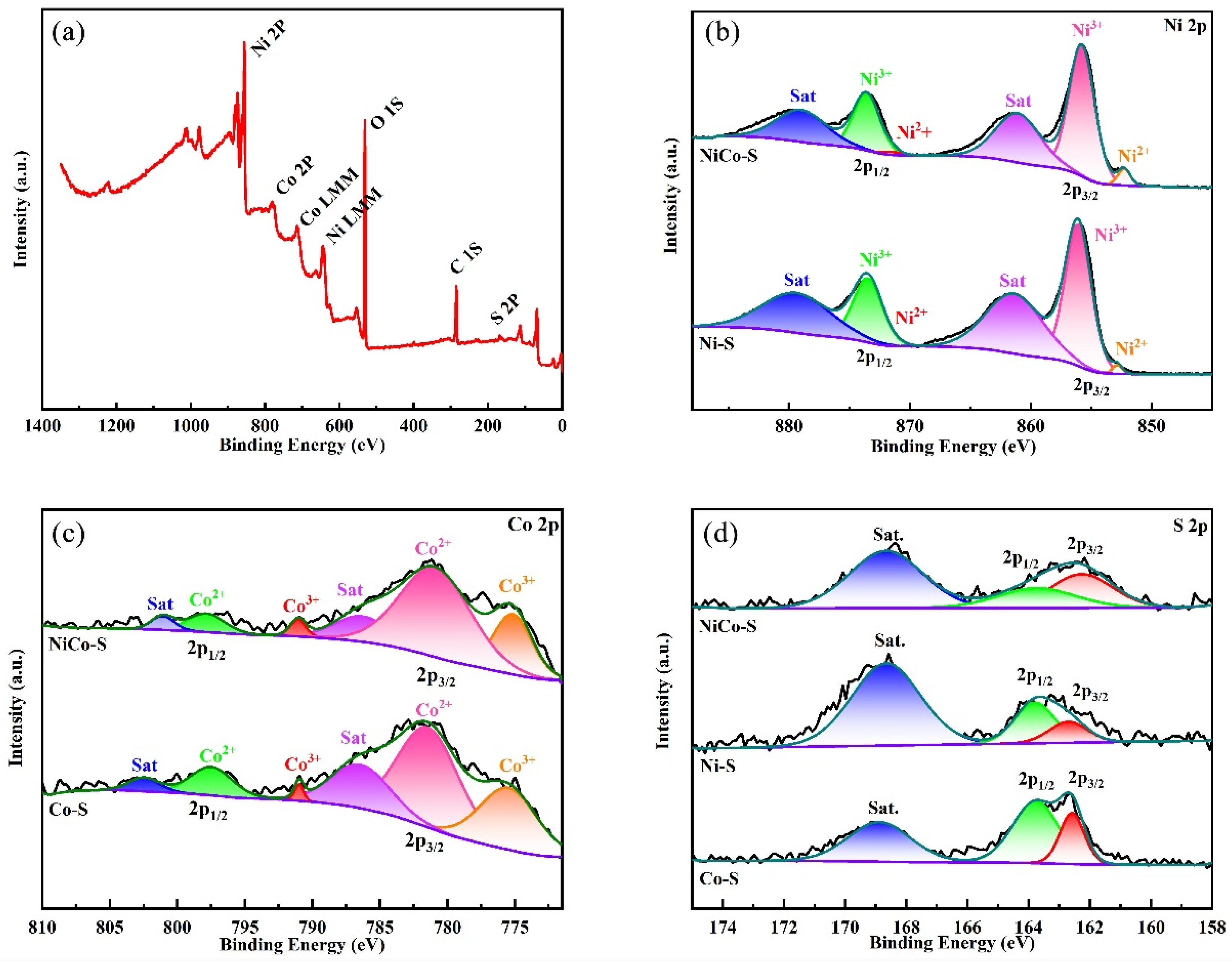Nanomaterials 13 01229 g003