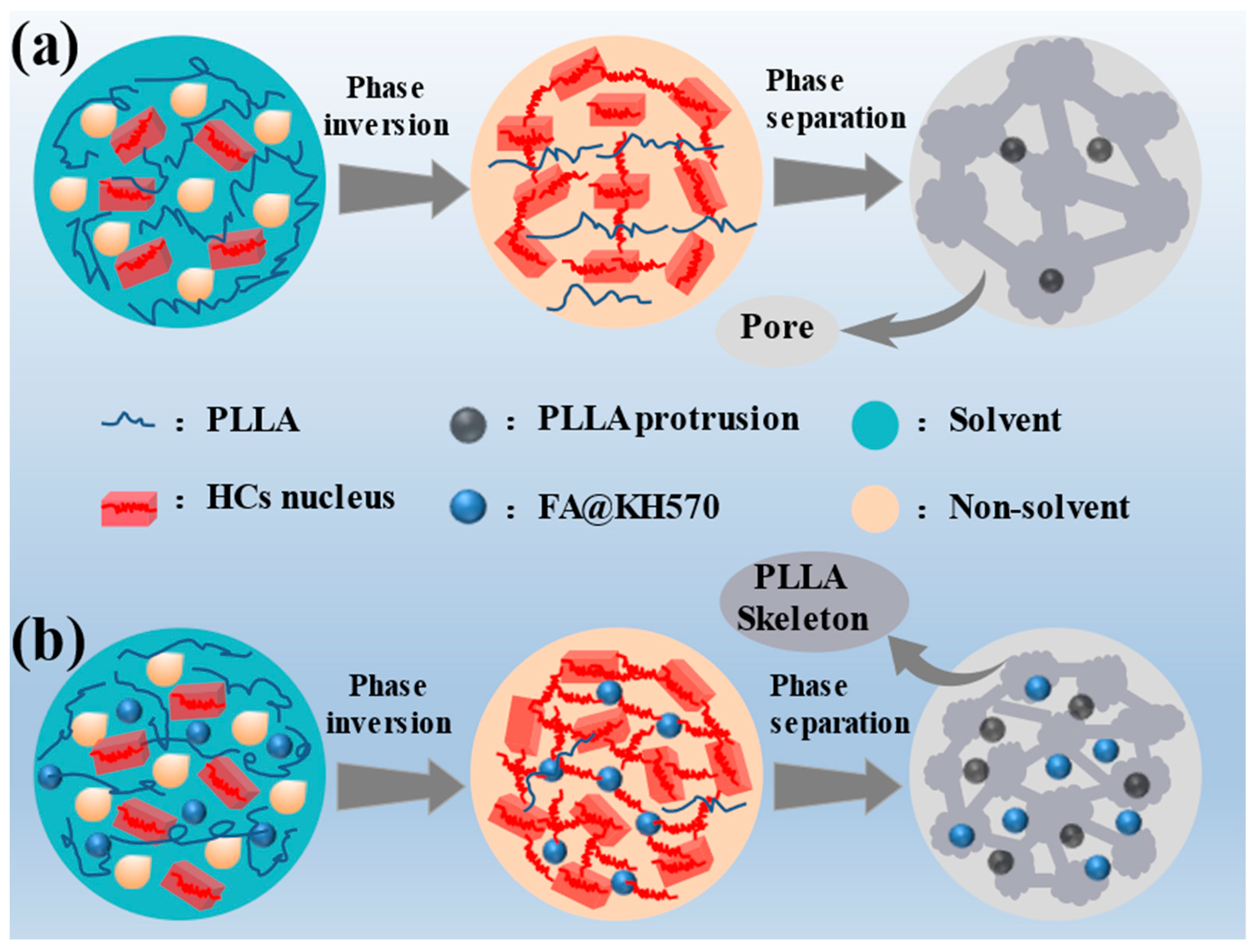 Nanomaterials 13 01230 g005