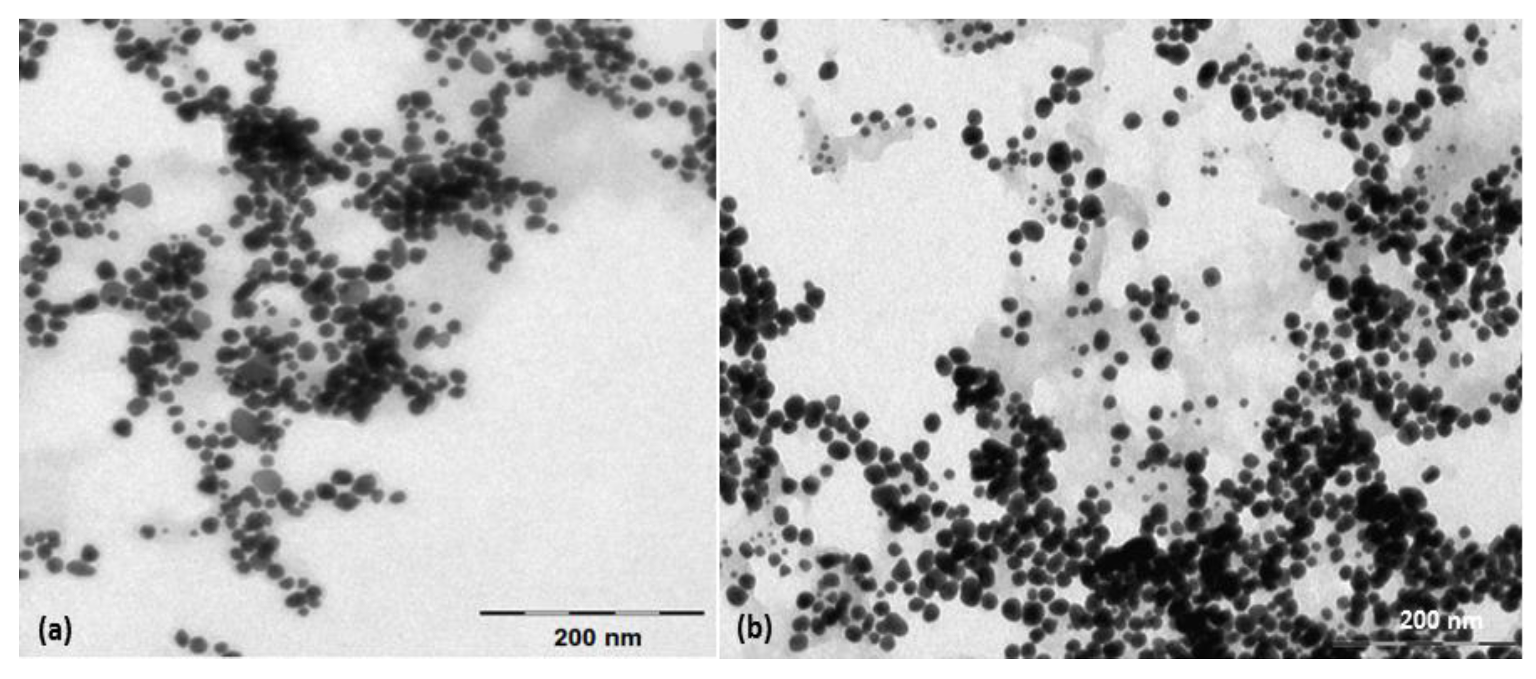 Nanomaterials 13 01251 g002