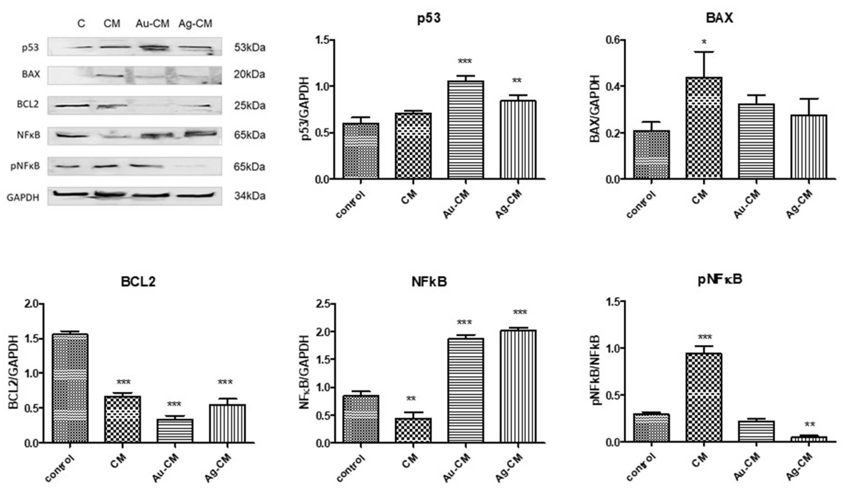 Nanomaterials 13 01251 g009