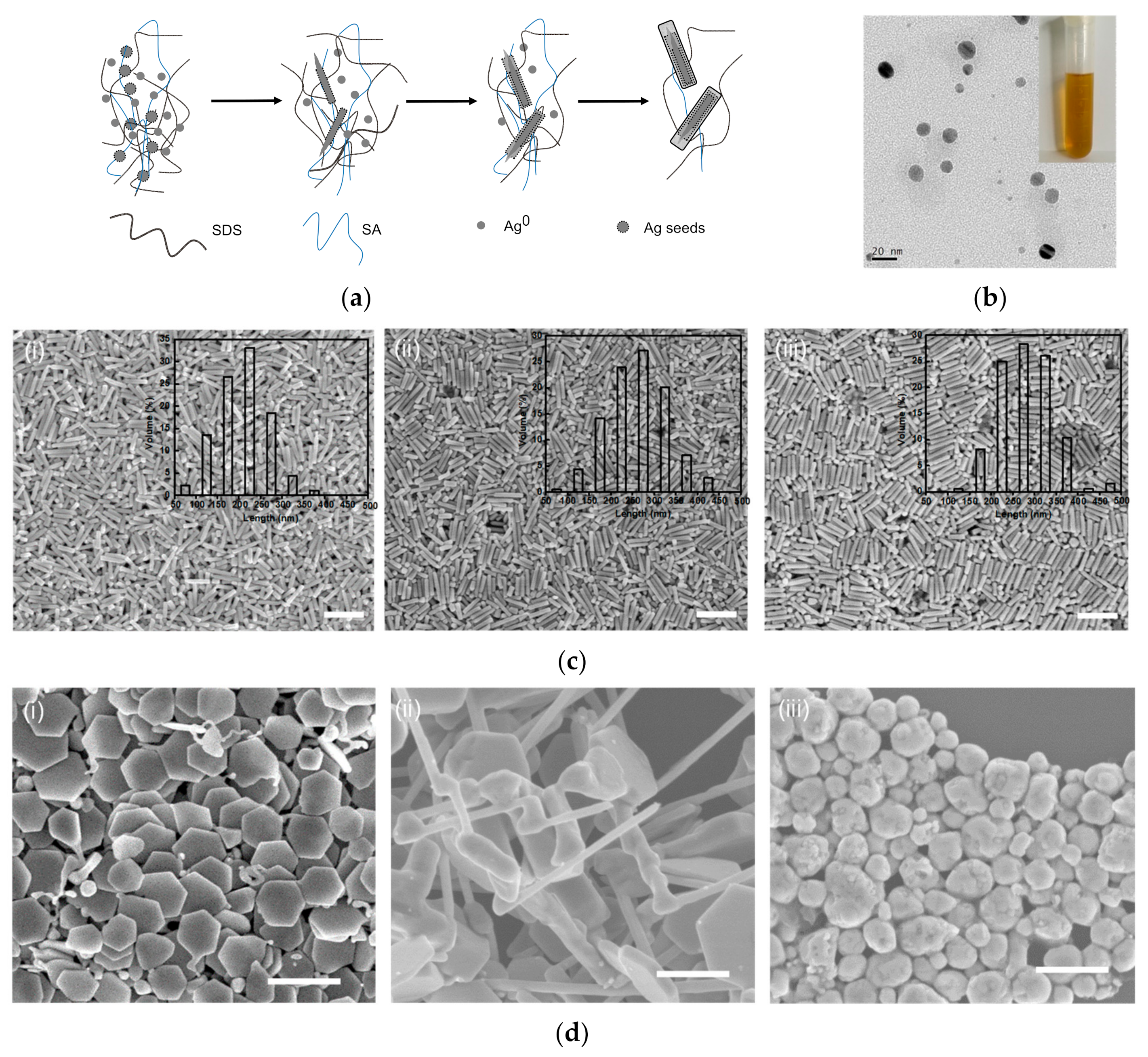 Nanomaterials 13 01263 g002 Nanomaterials 13 01263 g002