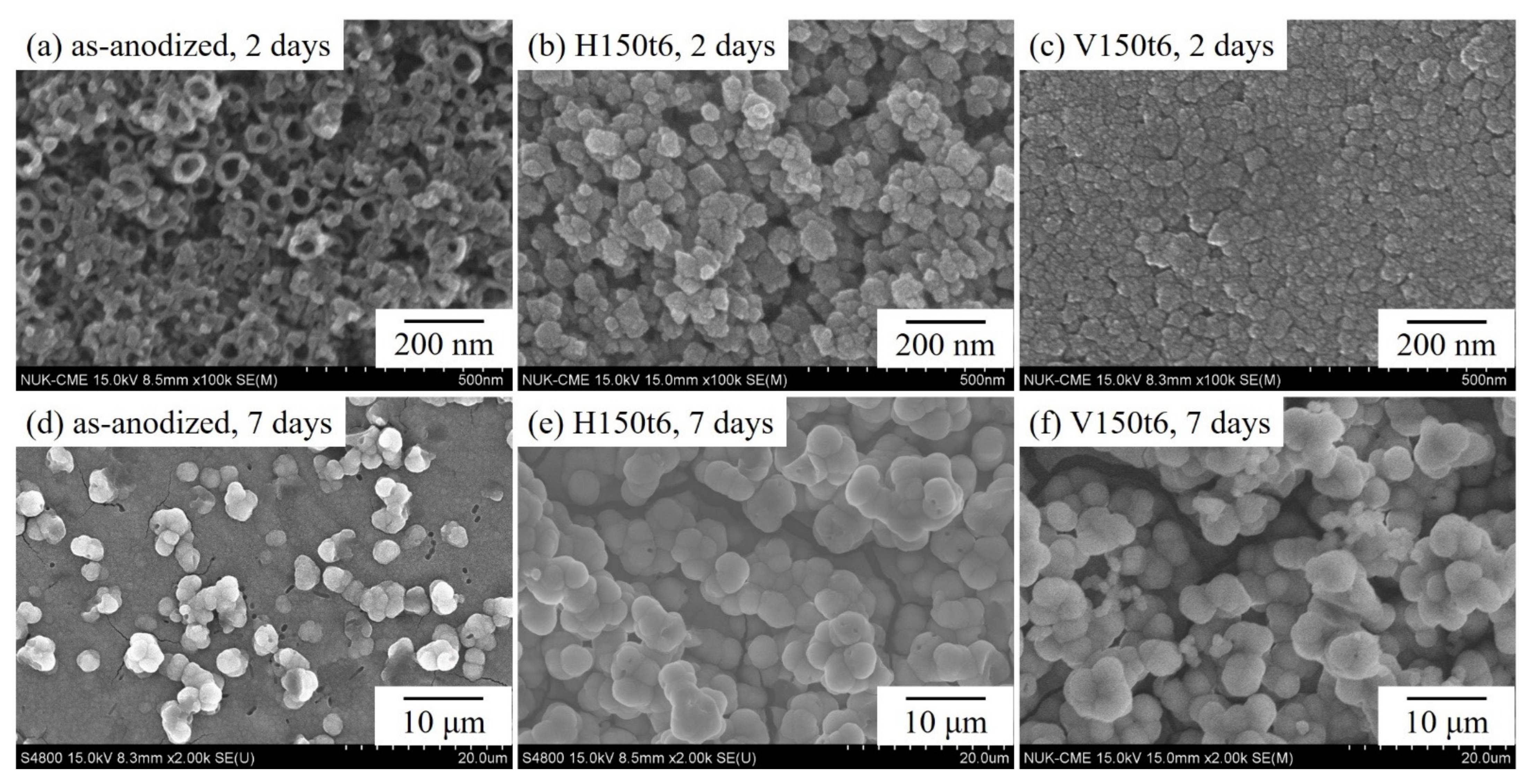 Nanomaterials 13 01296 g005