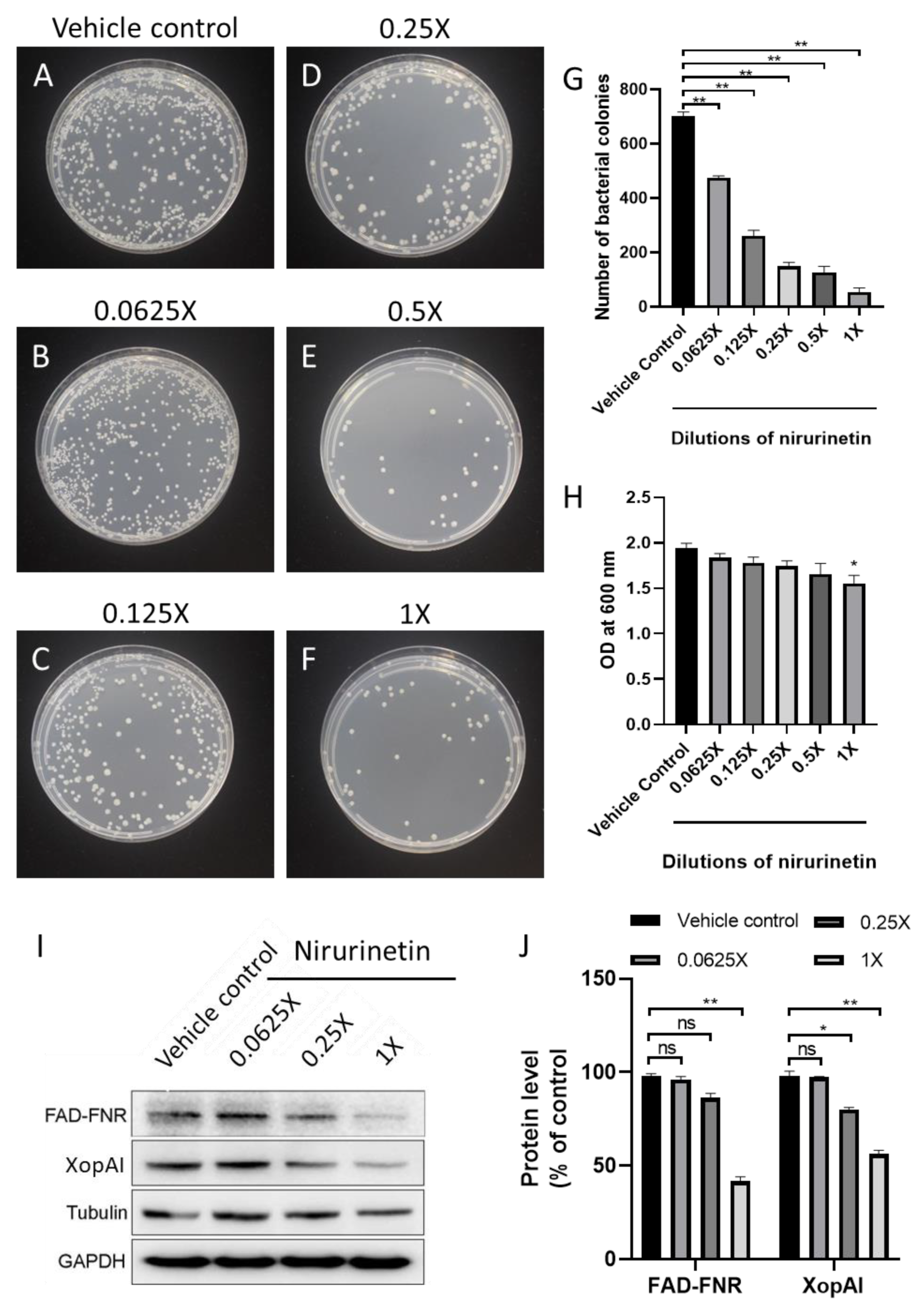 Nanomaterials 13 01306 g007 Nanomaterials 13 01306 g007