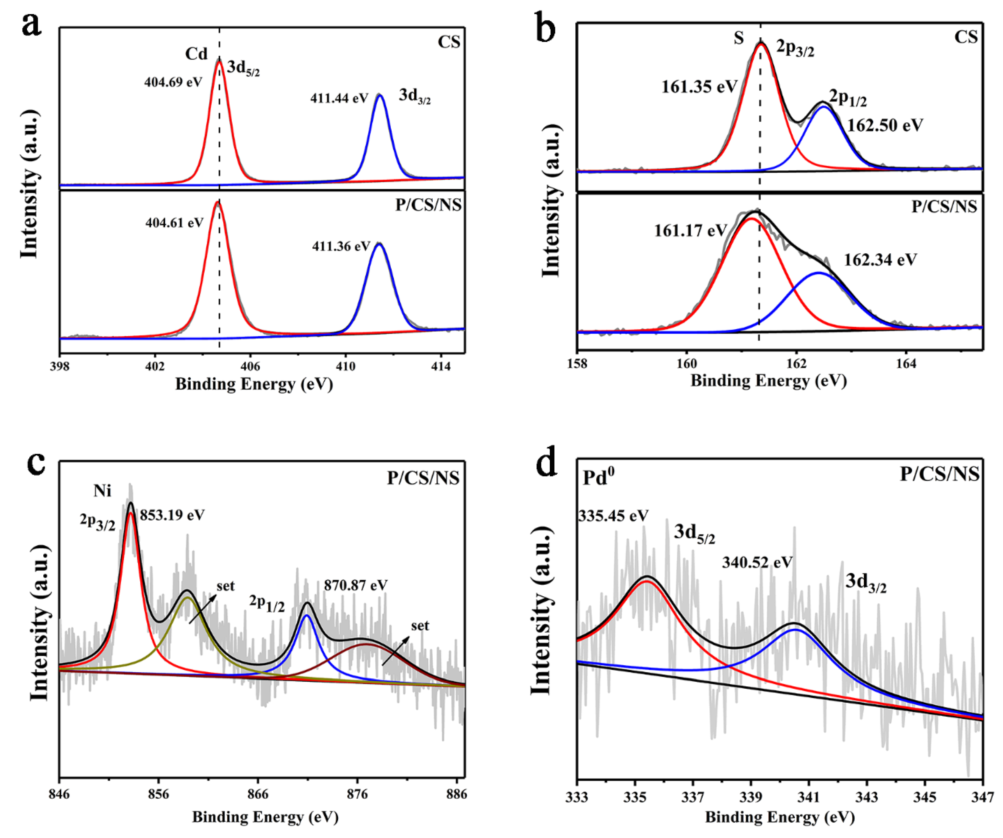 Nanomaterials 13 01326 g004