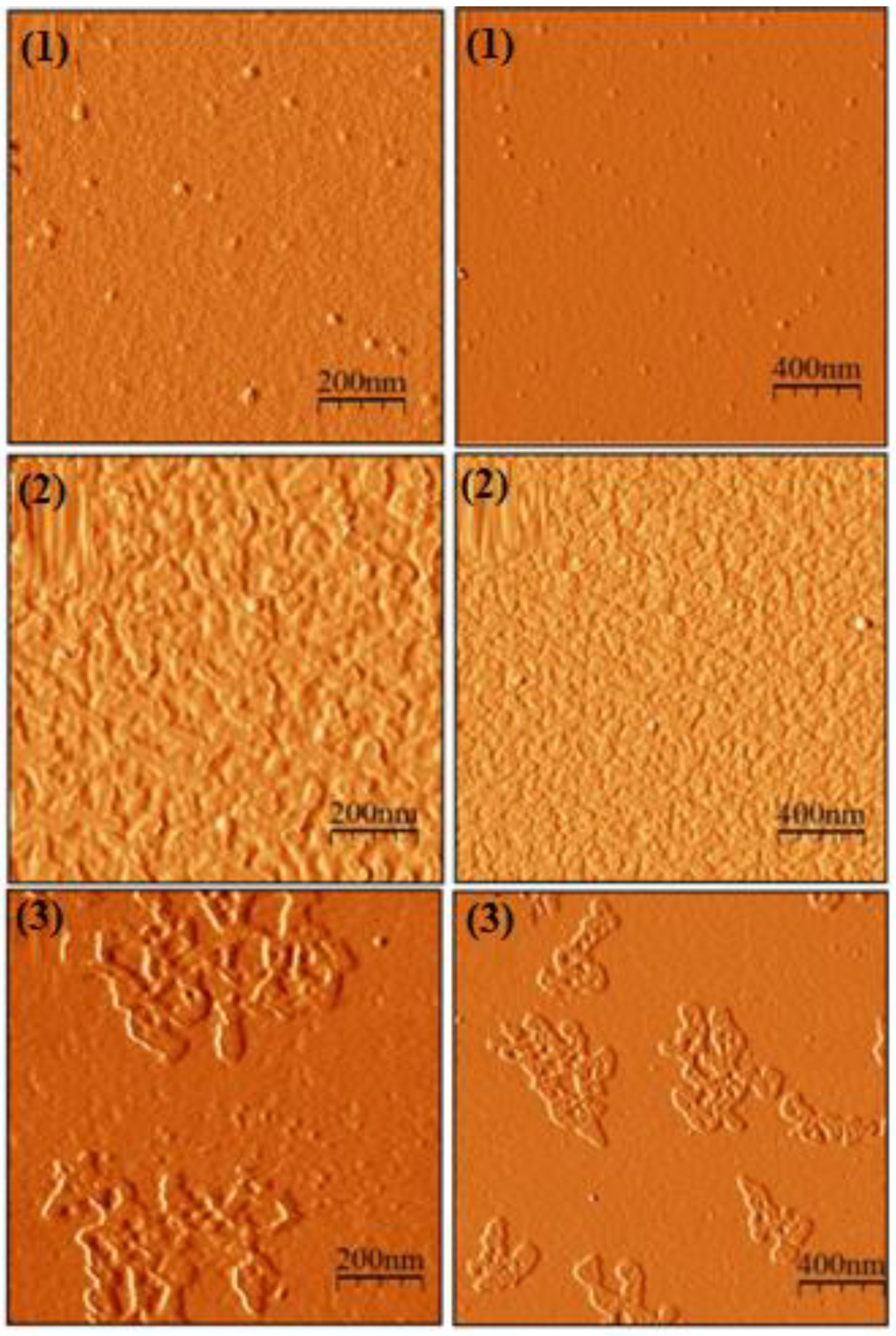 Nanomaterials 13 01351 g001 Nanomaterials 13 01351 g001