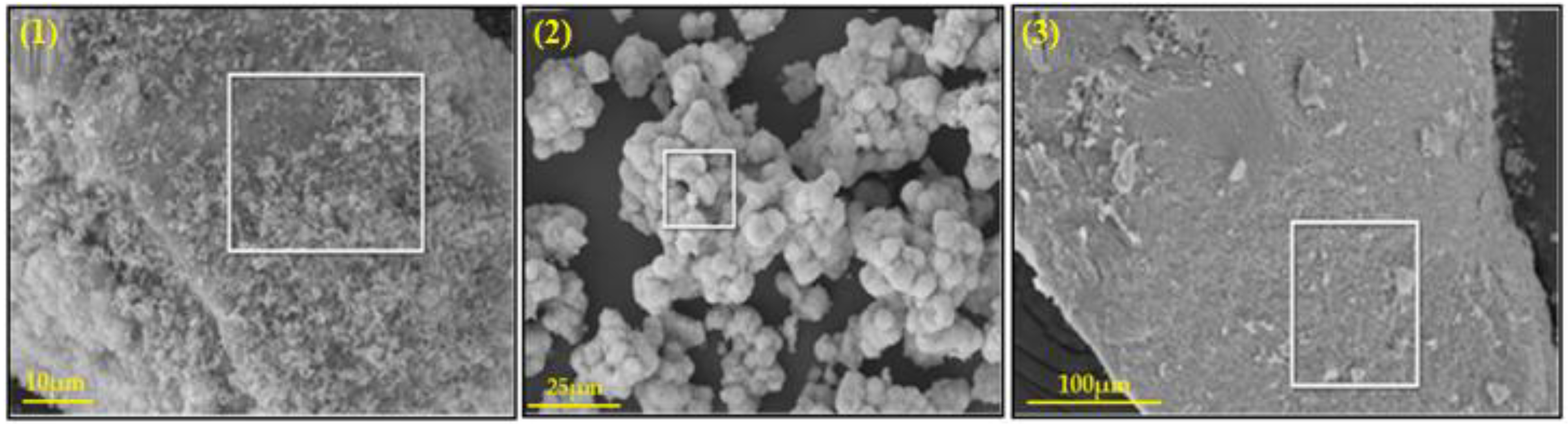Nanomaterials 13 01351 g002 Nanomaterials 13 01351 g002