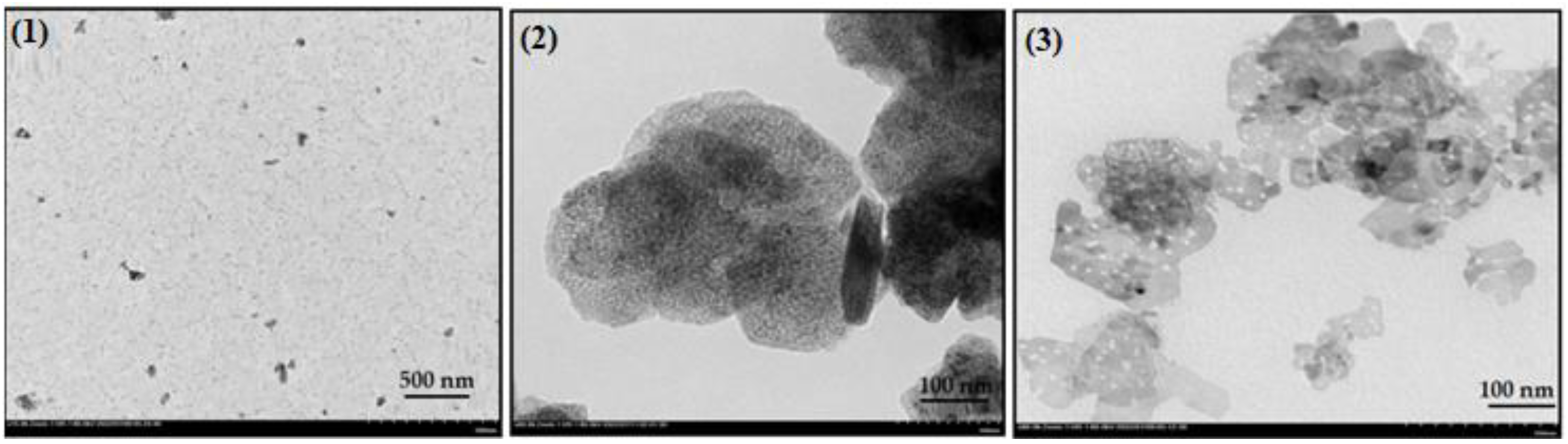 Nanomaterials 13 01351 g004 Nanomaterials 13 01351 g004