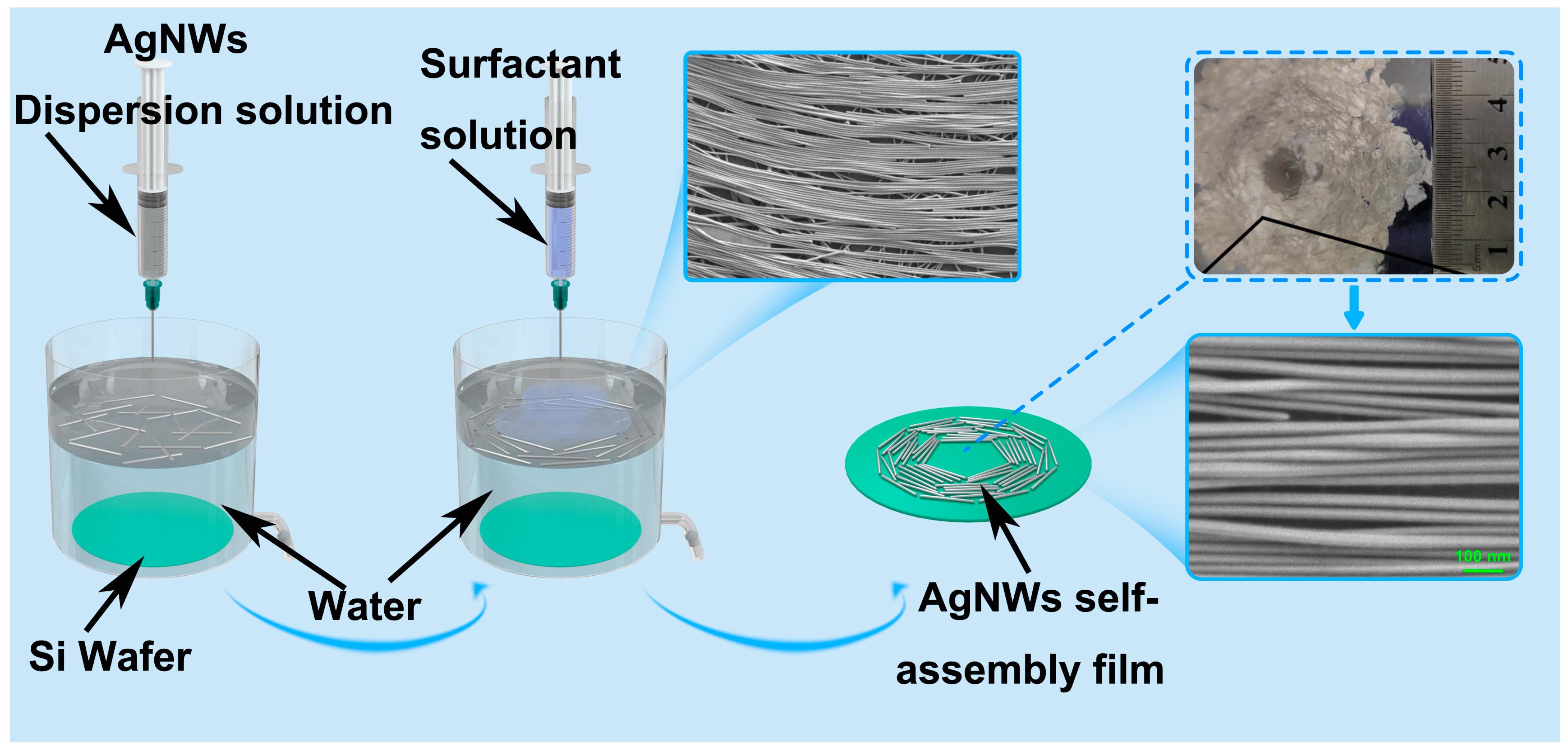 Nanomaterials 13 01358 g001