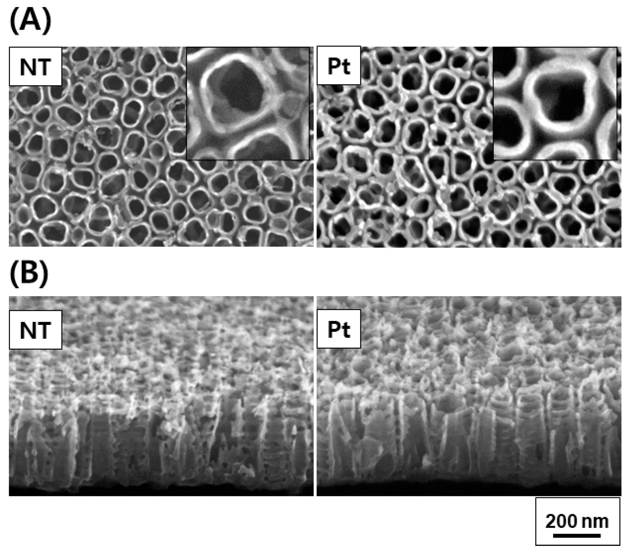 Nanomaterials 13 01377 g002 Nanomaterials 13 01377 g002