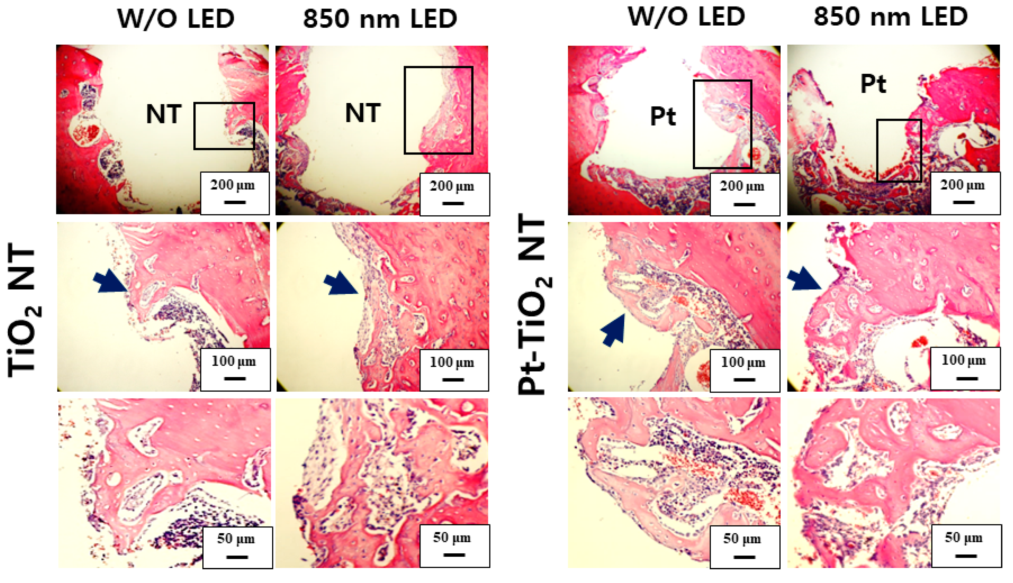Nanomaterials 13 01377 g010 Nanomaterials 13 01377 g010