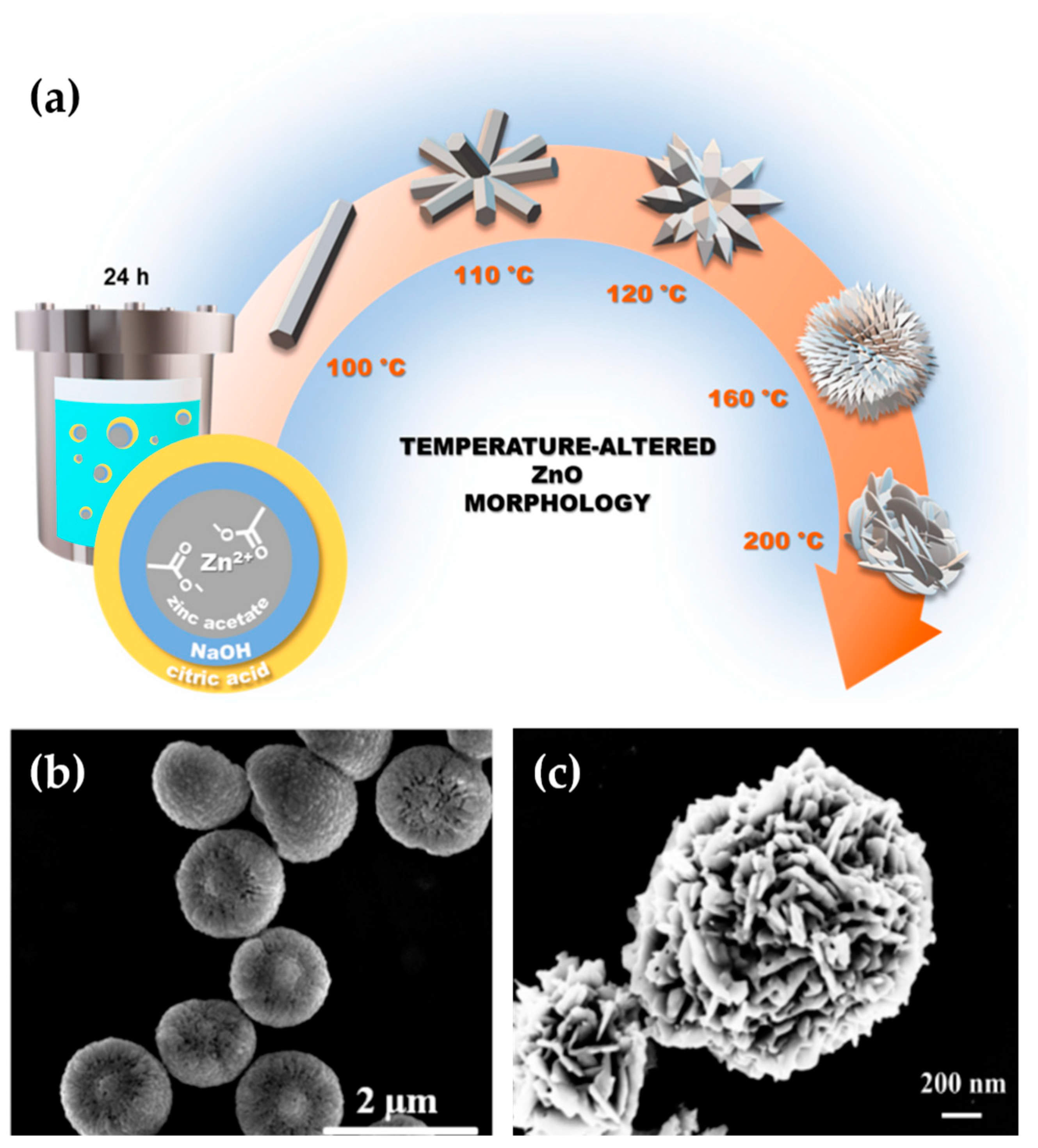 Nanomaterials 13 01380 g002