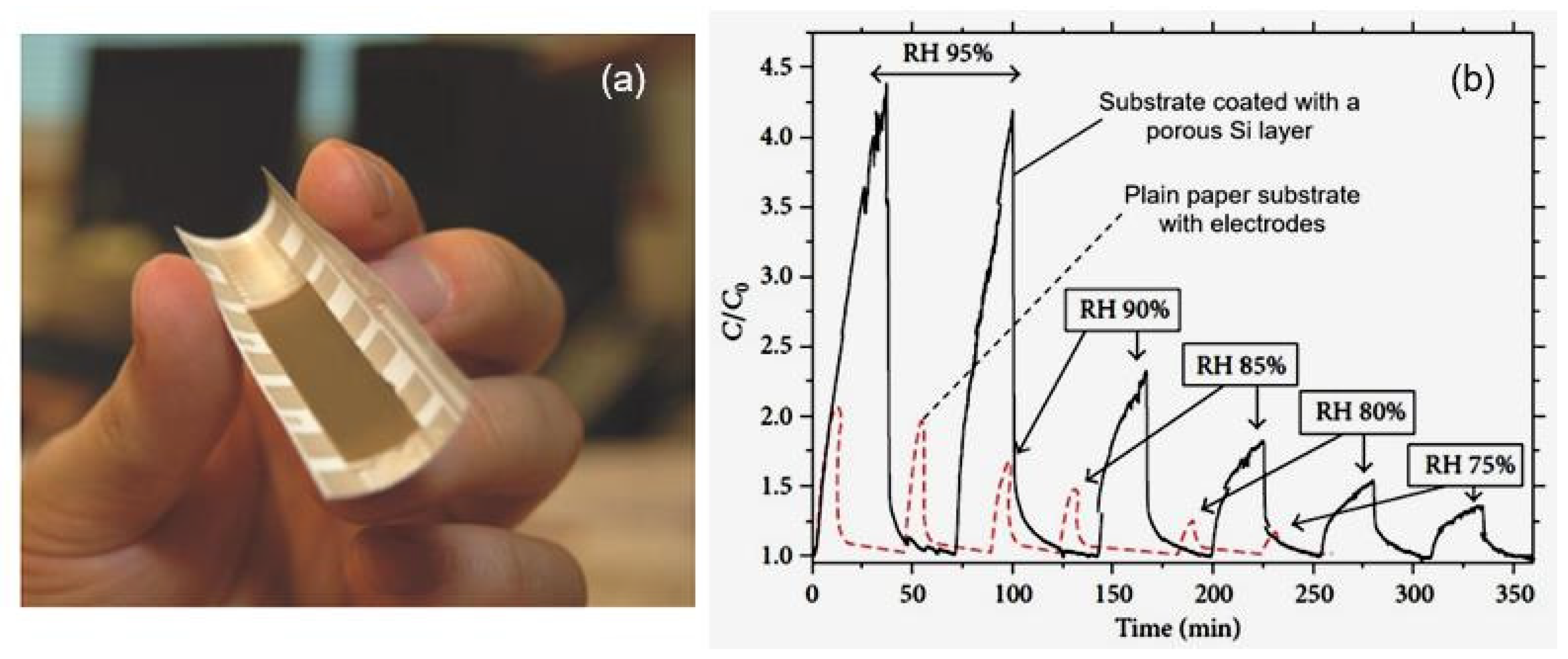 Nanomaterials 13 01381 g005