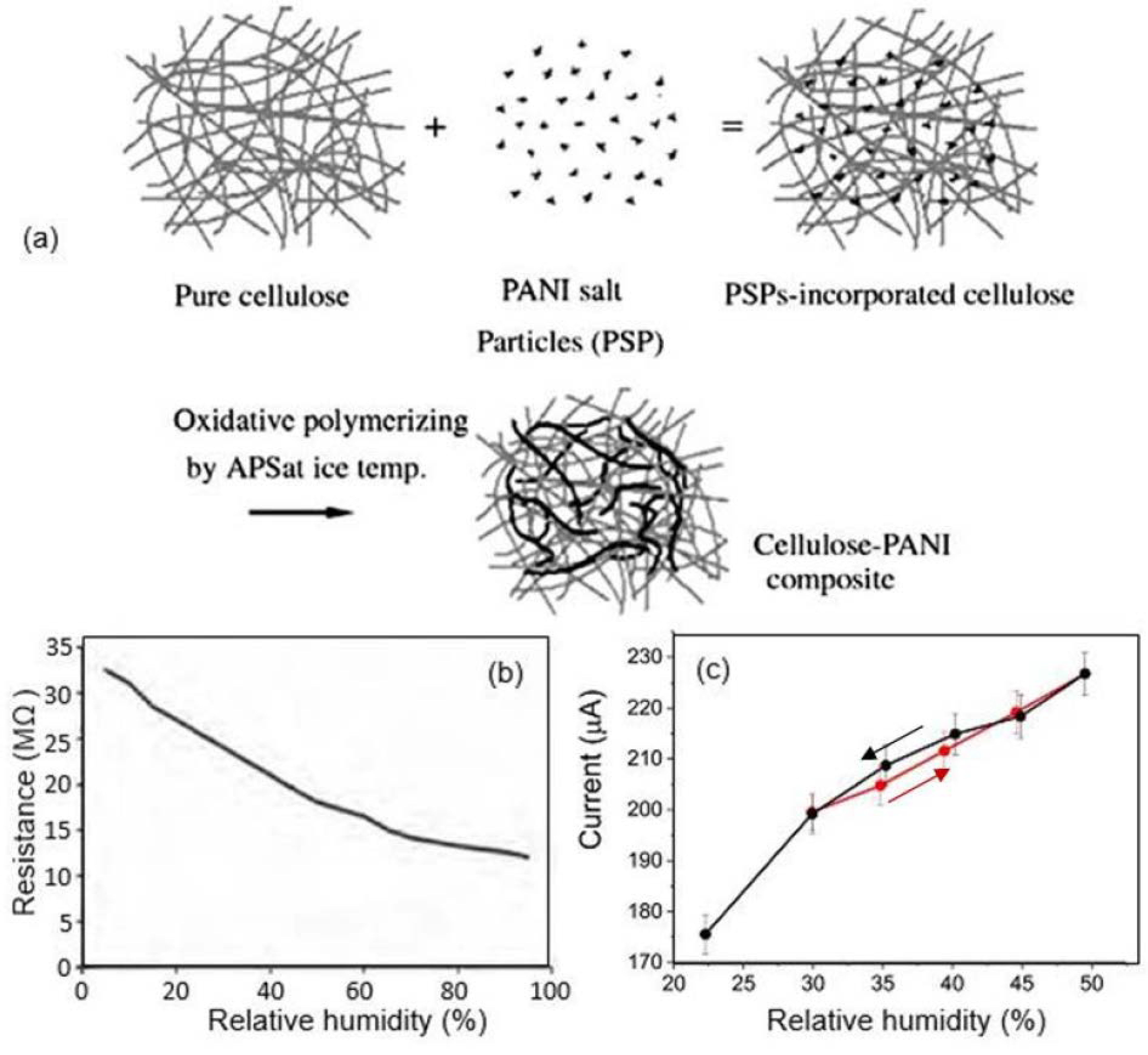 Nanomaterials 13 01381 g024