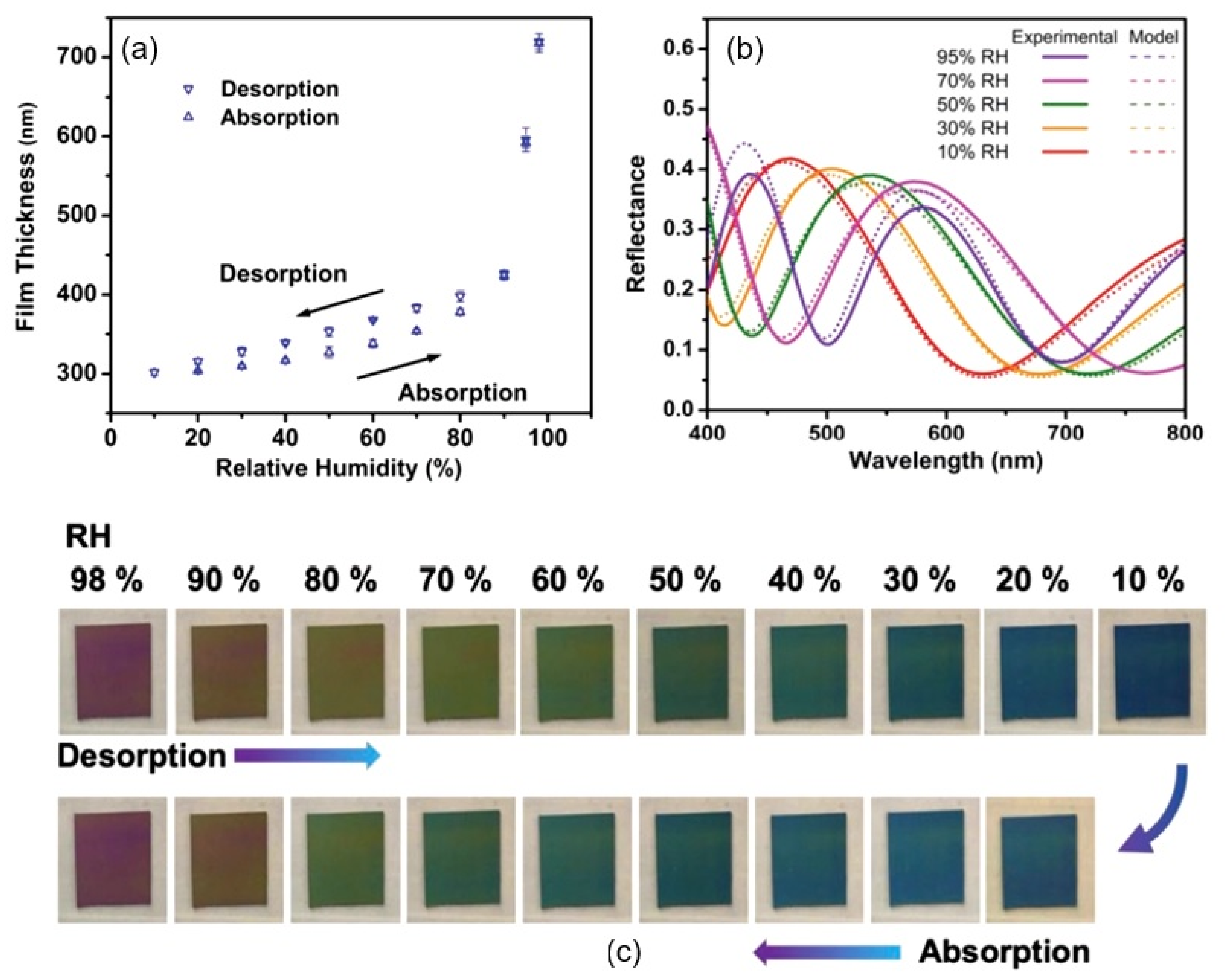 Nanomaterials 13 01381 g041