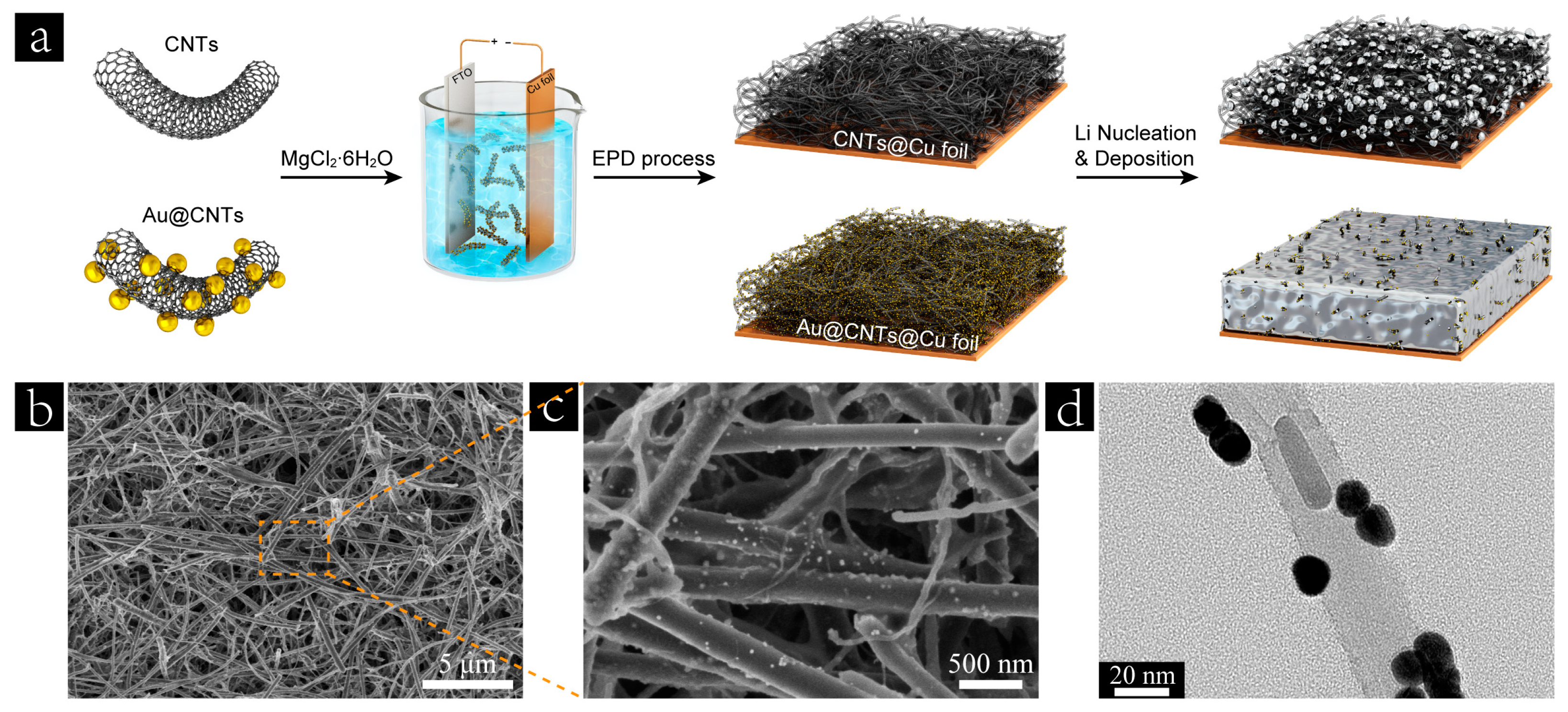 Nanomaterials 13 01400 g001