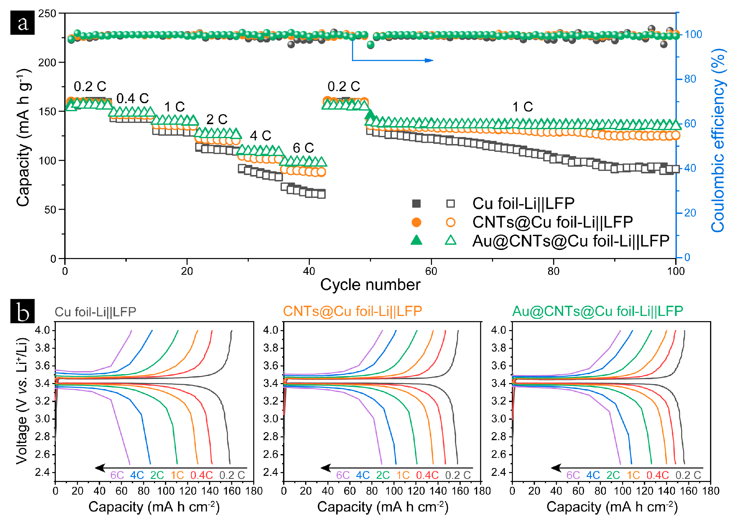 Nanomaterials 13 01400 g005