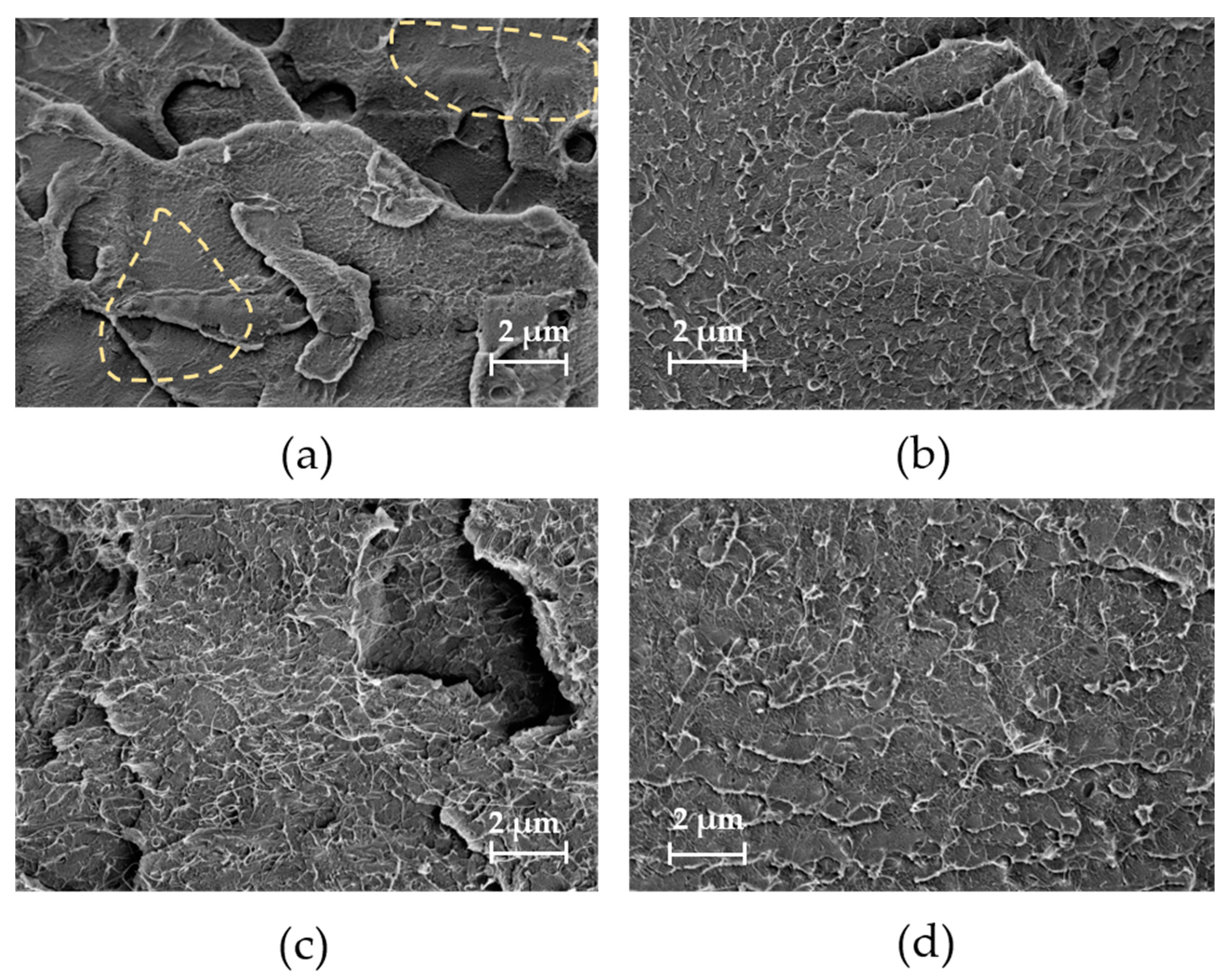 Nanomaterials 13 01431 g003 Nanomaterials 13 01431 g003