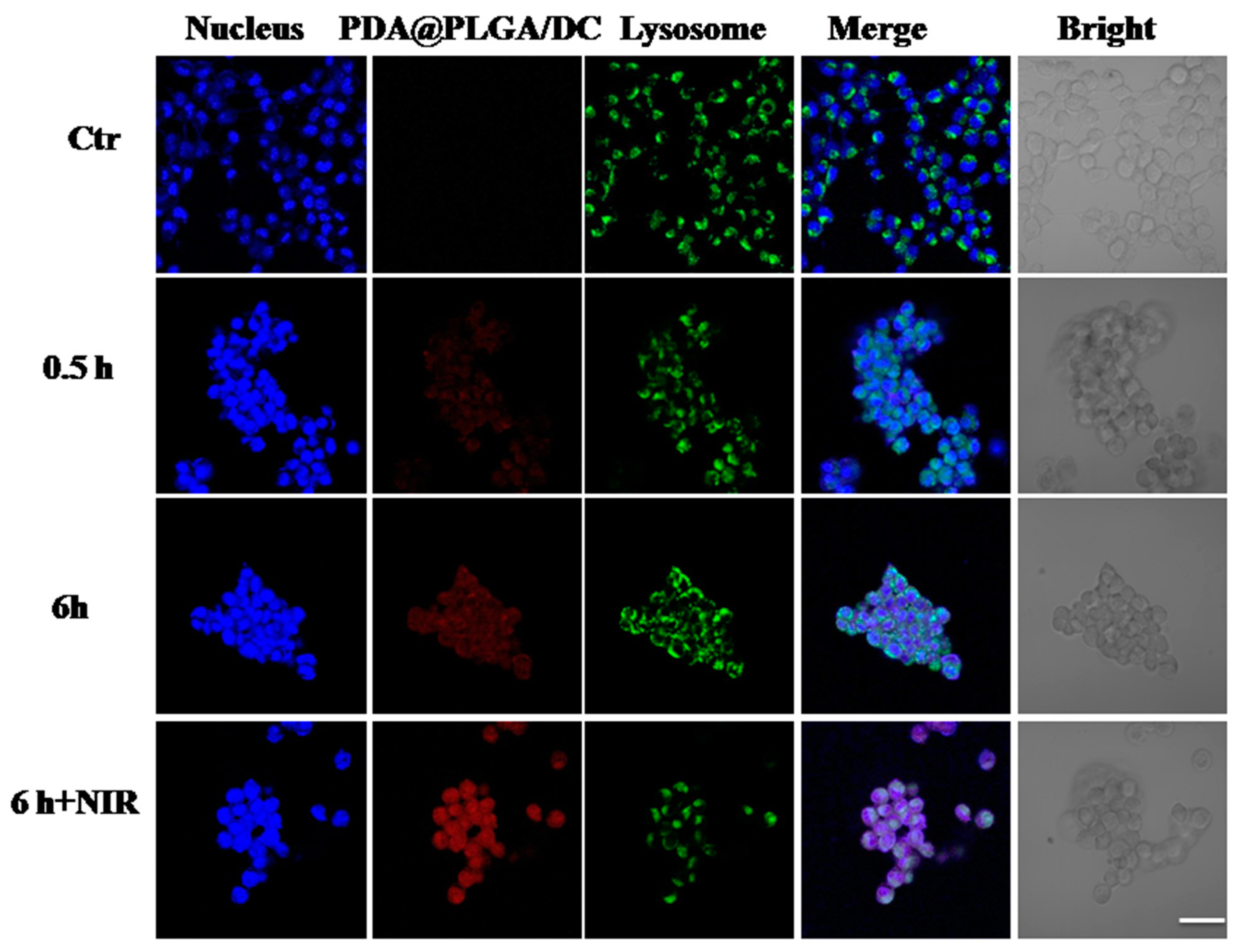 Nanomaterials 13 01447 g005 Nanomaterials 13 01447 g005