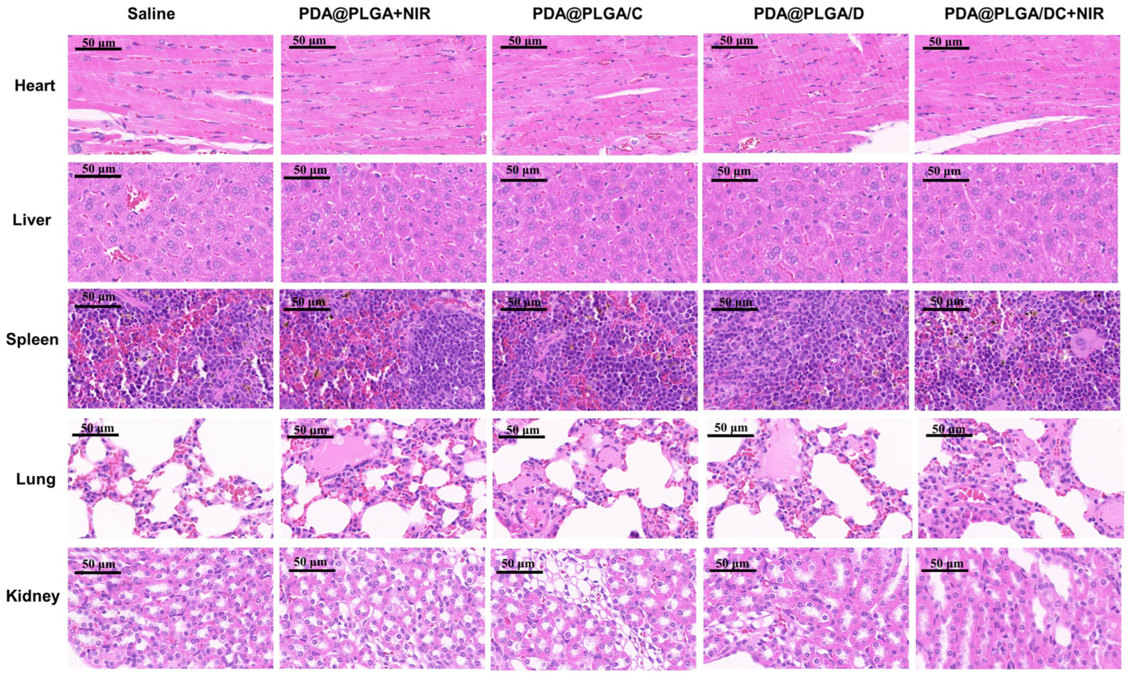 Nanomaterials 13 01447 g007 Nanomaterials 13 01447 g007