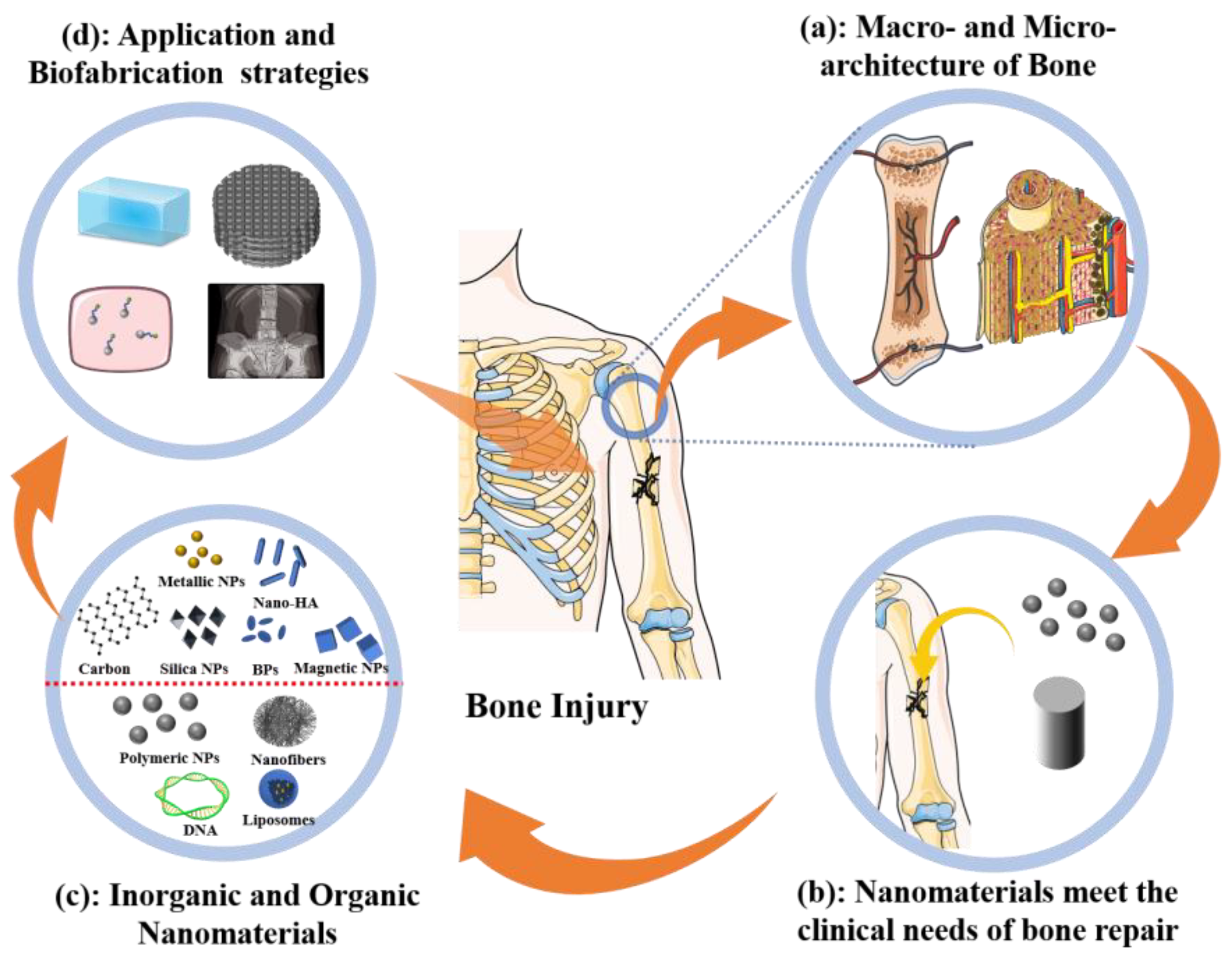 Nanomaterials 13 01449 g001