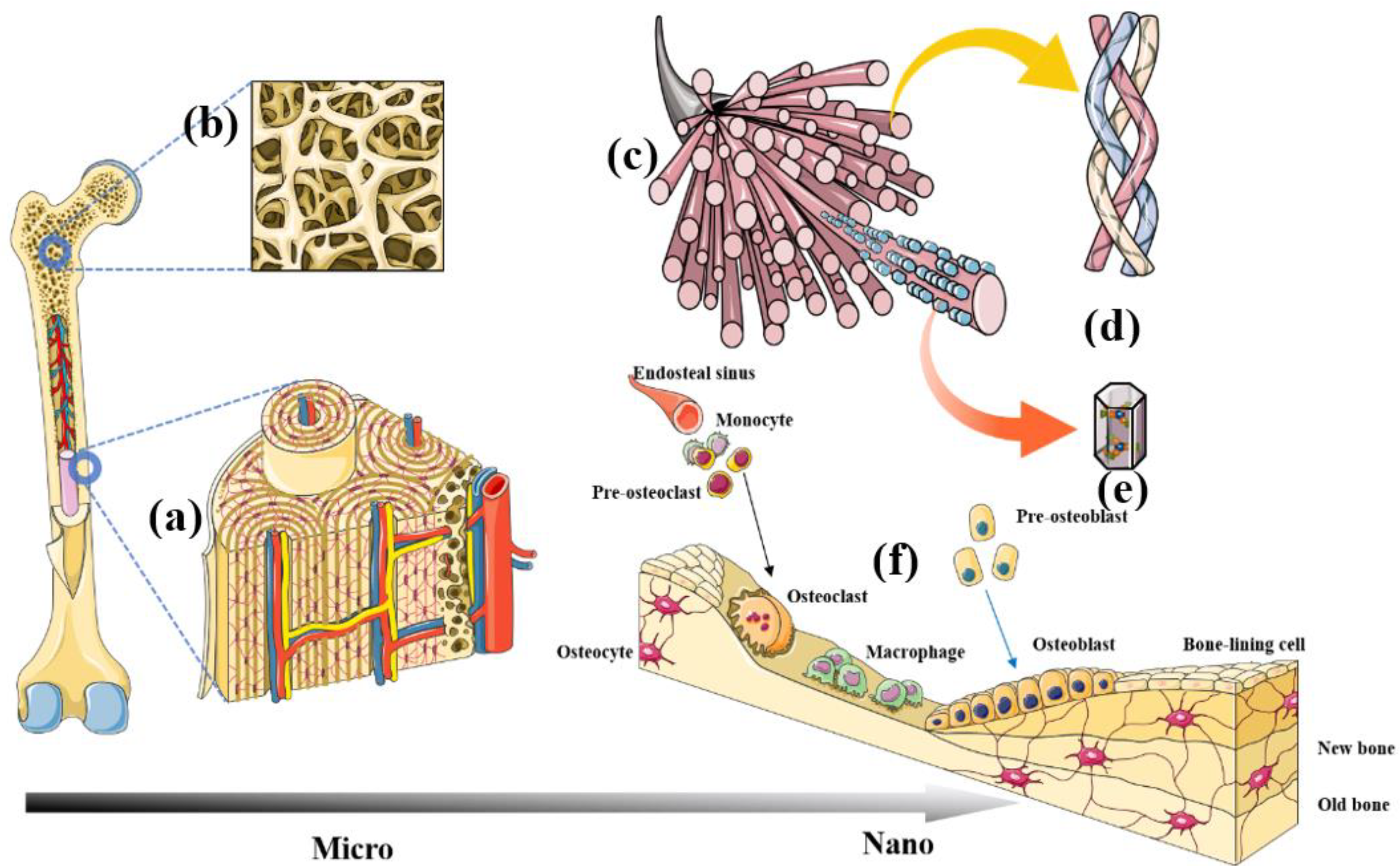 Nanomaterials 13 01449 g002