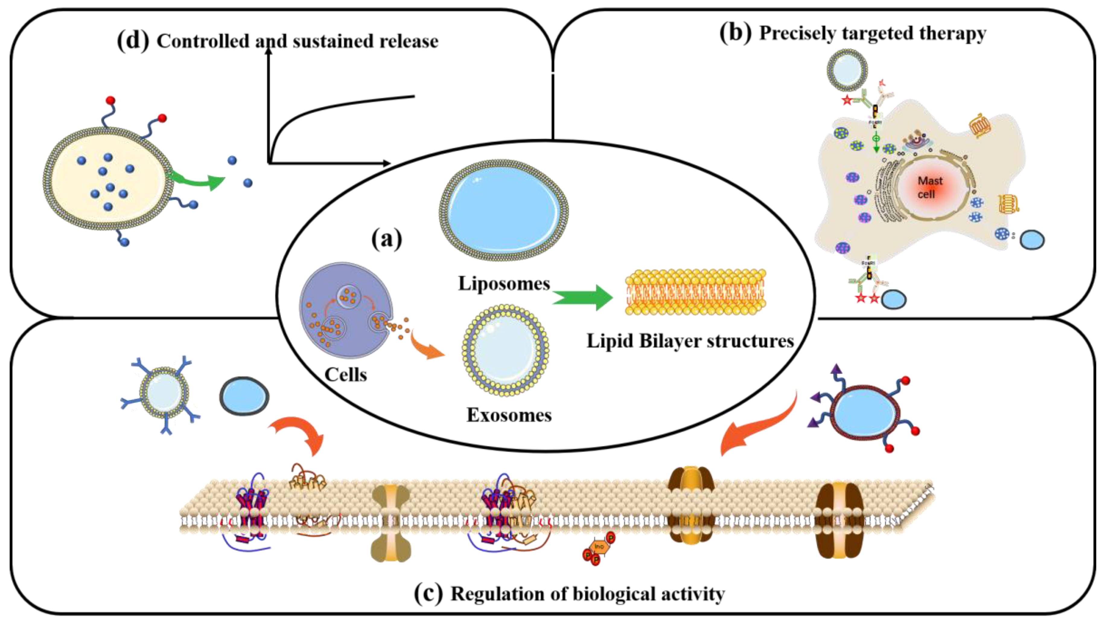 Nanomaterials 13 01449 g006