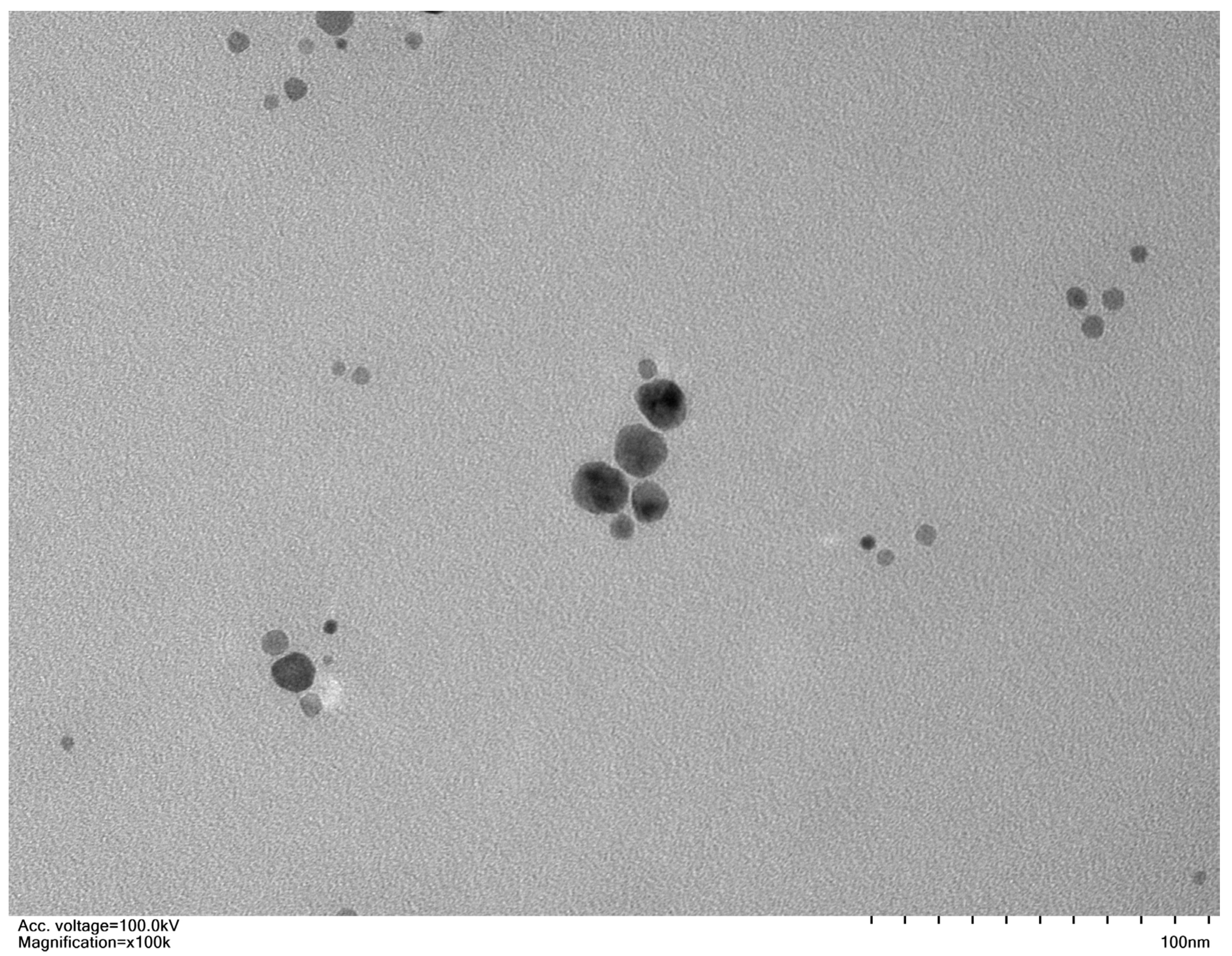 Nanomaterials 13 01453 g001 Nanomaterials 13 01453 g001