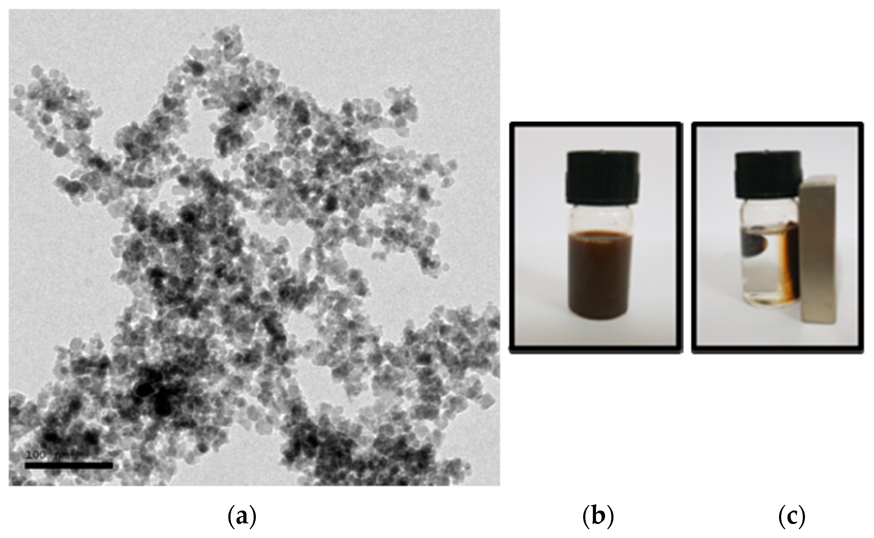 Nanomaterials 13 01456 g001 Nanomaterials 13 01456 g001
