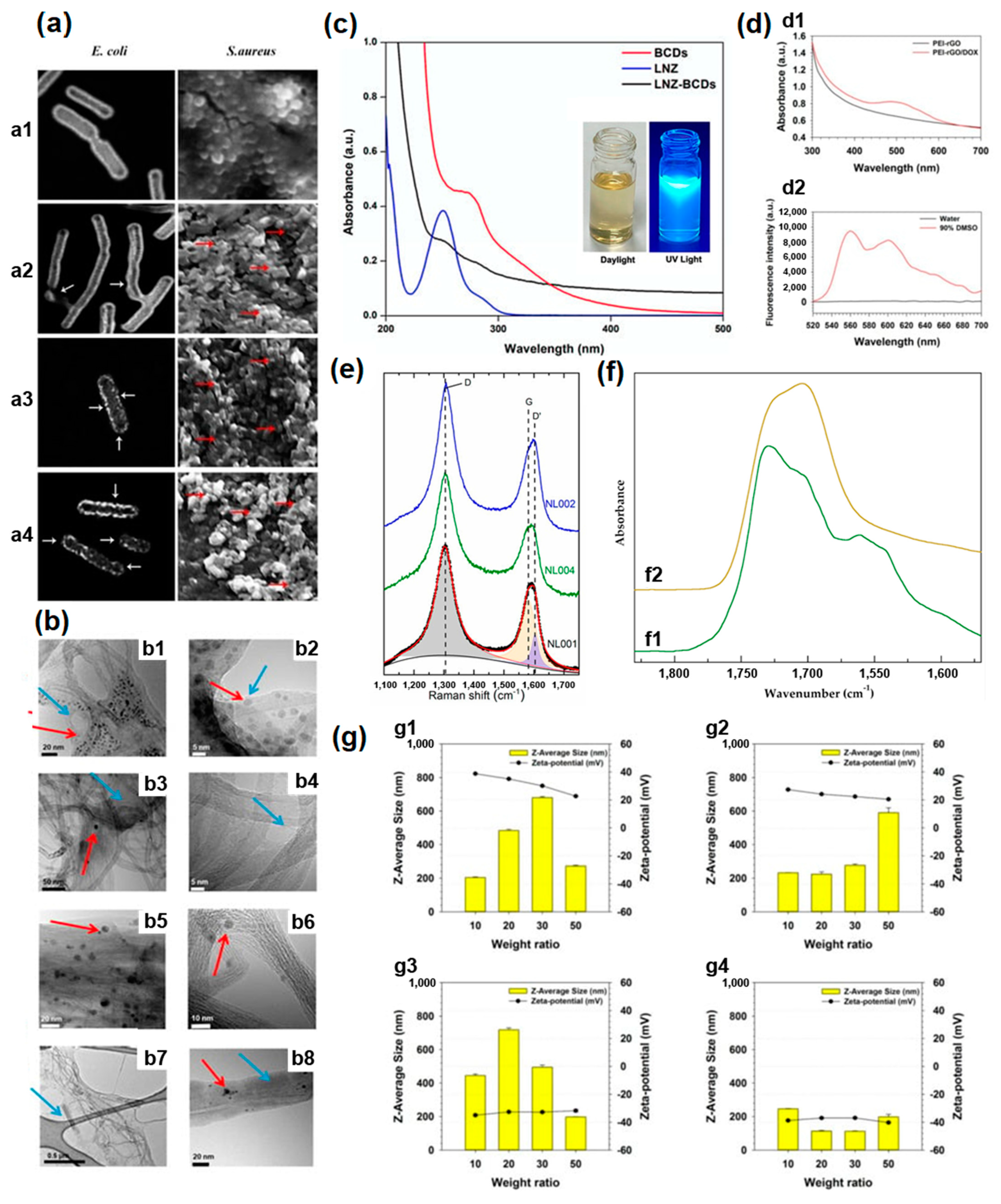 Nanomaterials 13 01458 g001