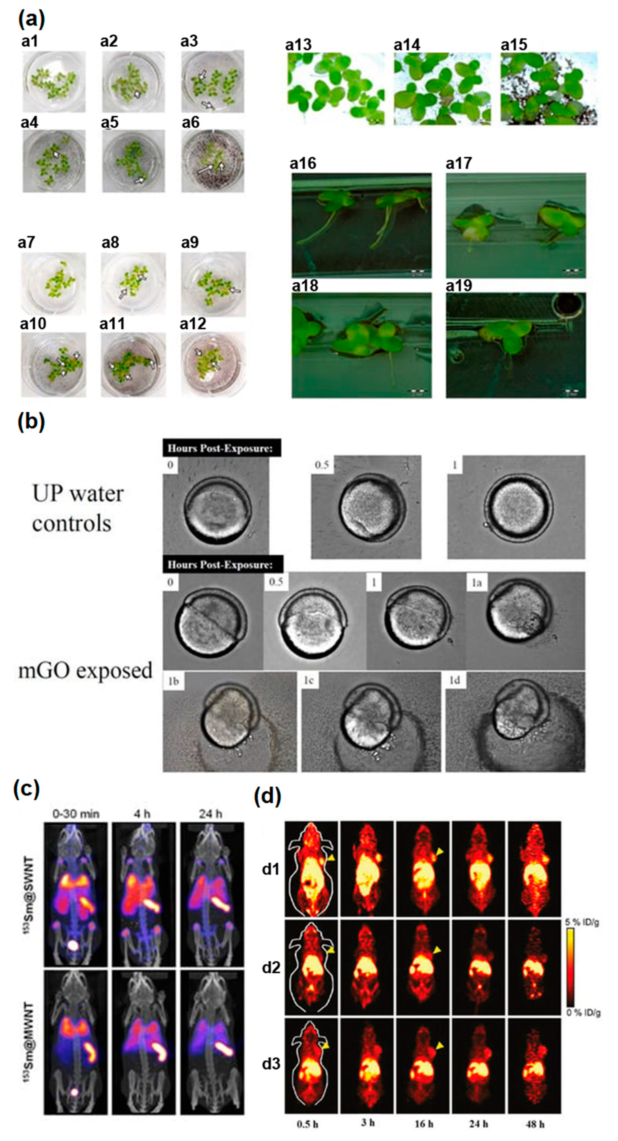 Nanomaterials 13 01458 g006