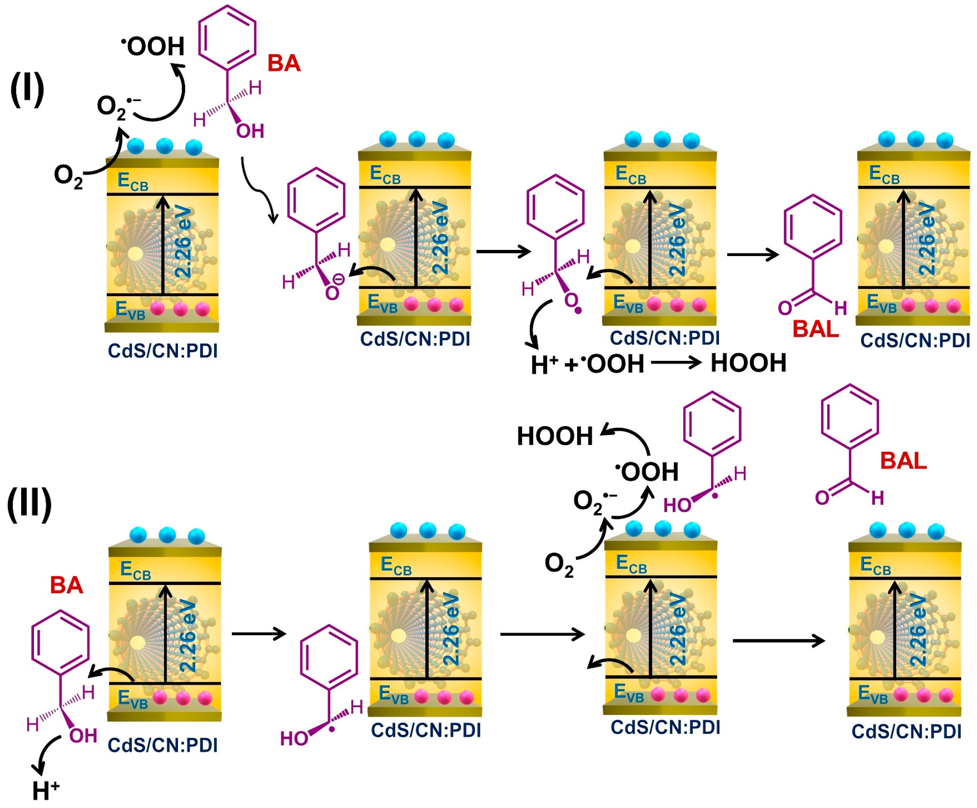Nanomaterials 13 01481 g007