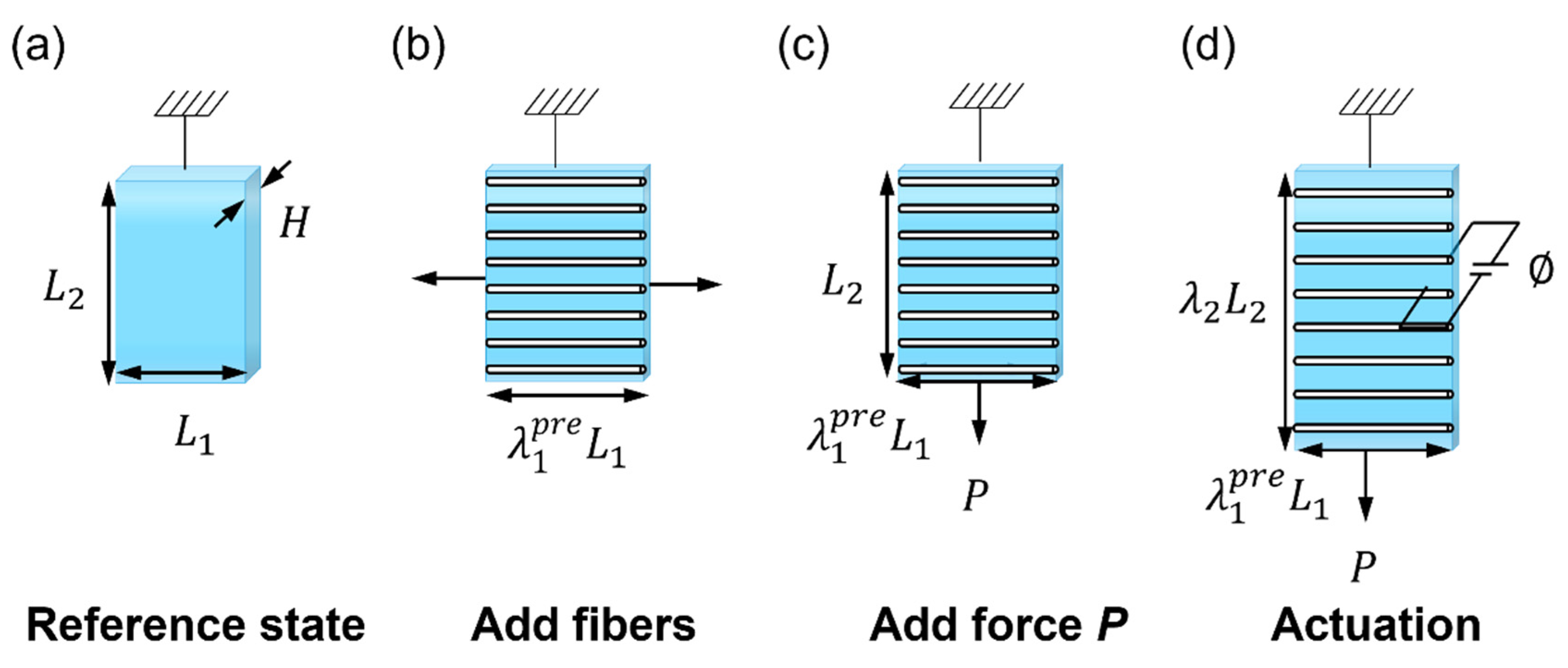 Nanomaterials 13 01483 g002