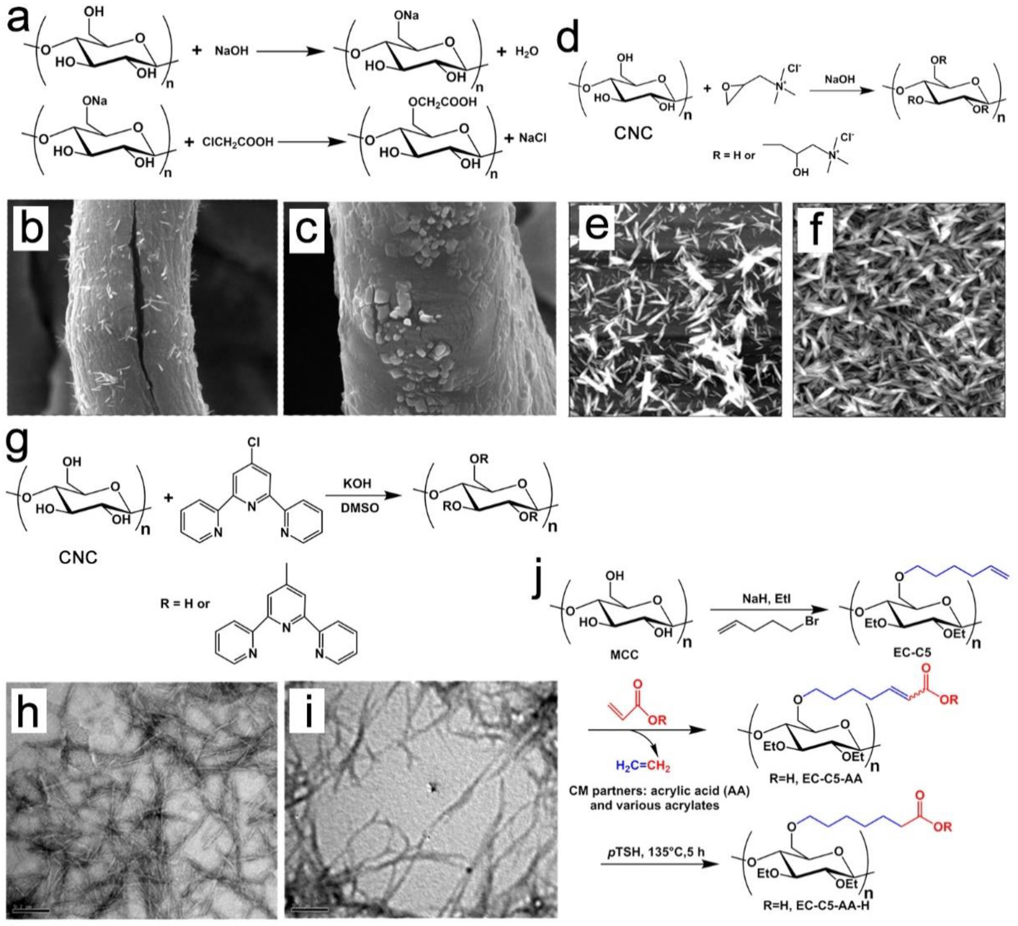 Nanomaterials 13 01489 g006 Nanomaterials 13 01489 g006