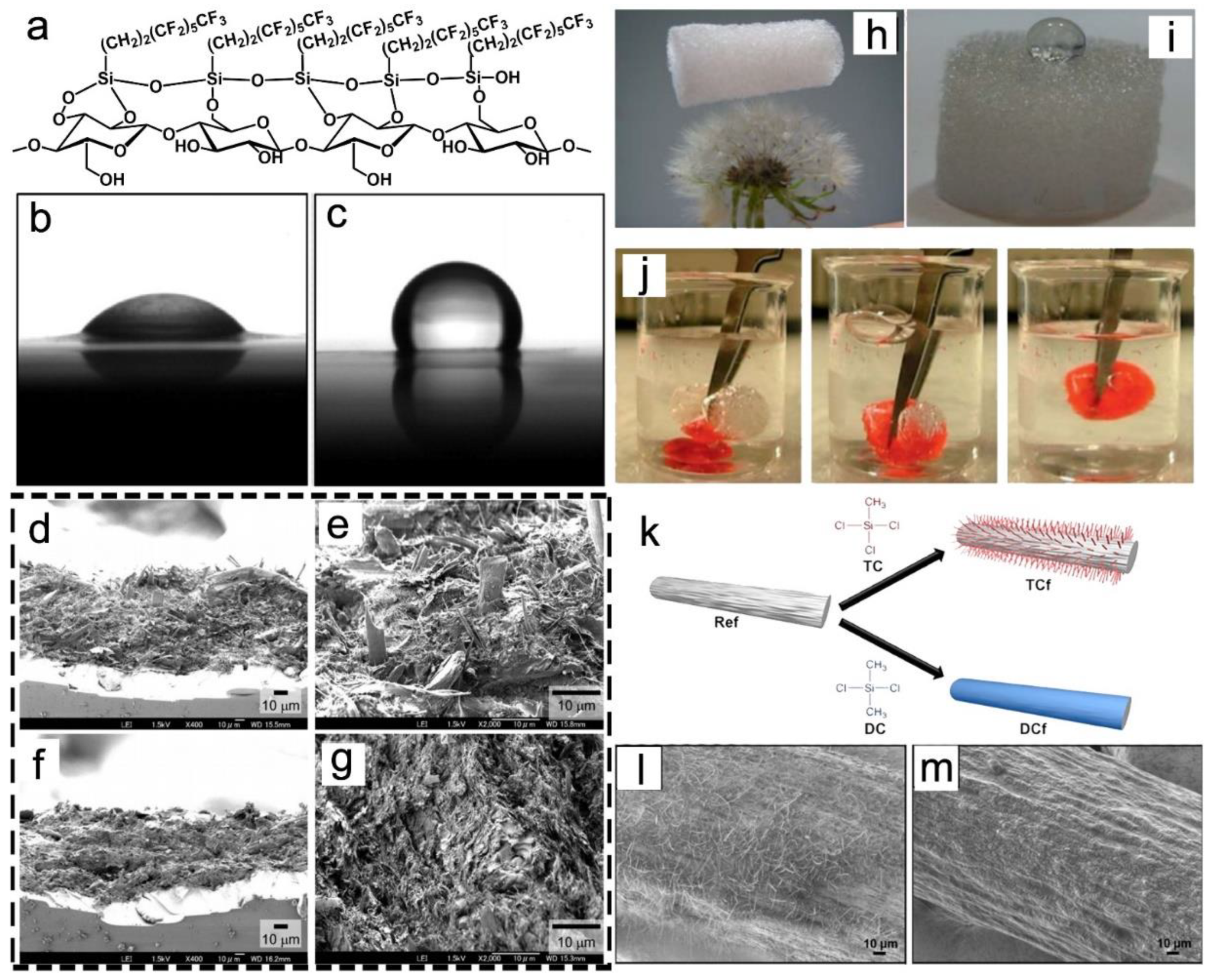 Nanomaterials 13 01489 g007 Nanomaterials 13 01489 g007