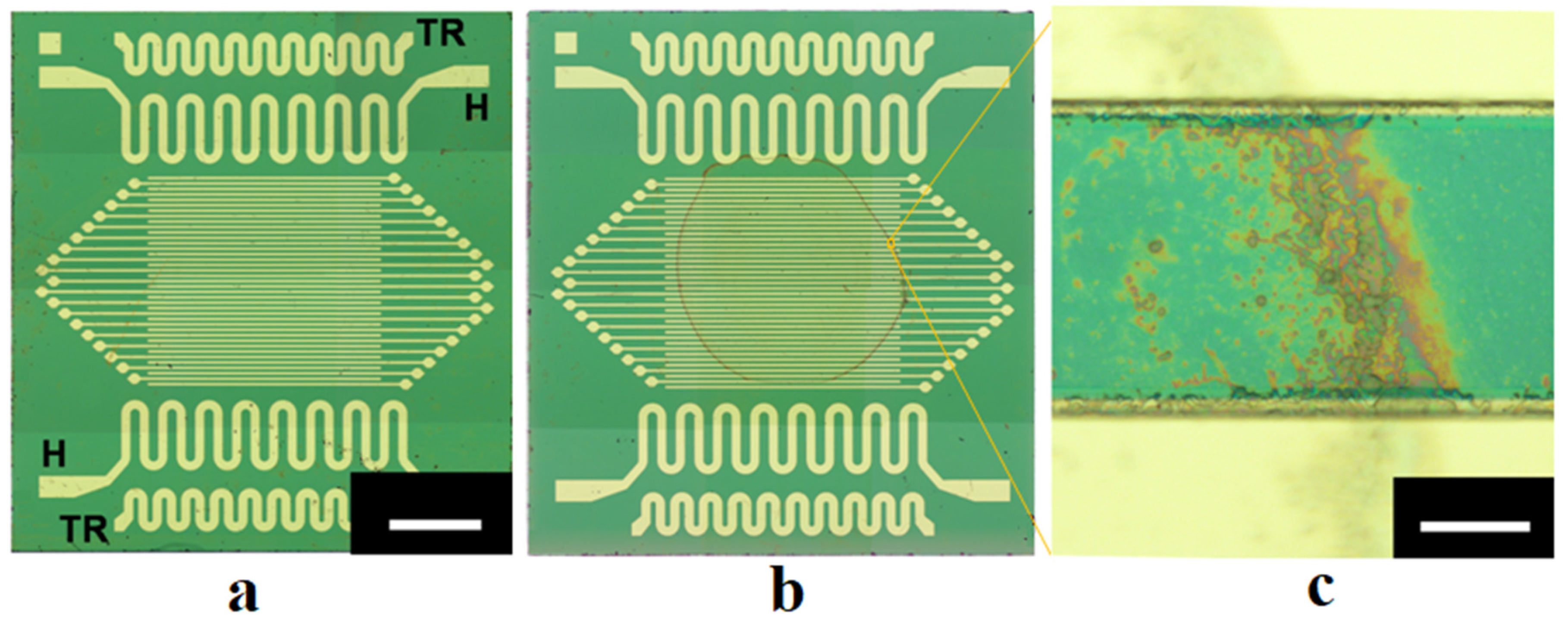 Nanomaterials 13 01490 g001 Nanomaterials 13 01490 g001