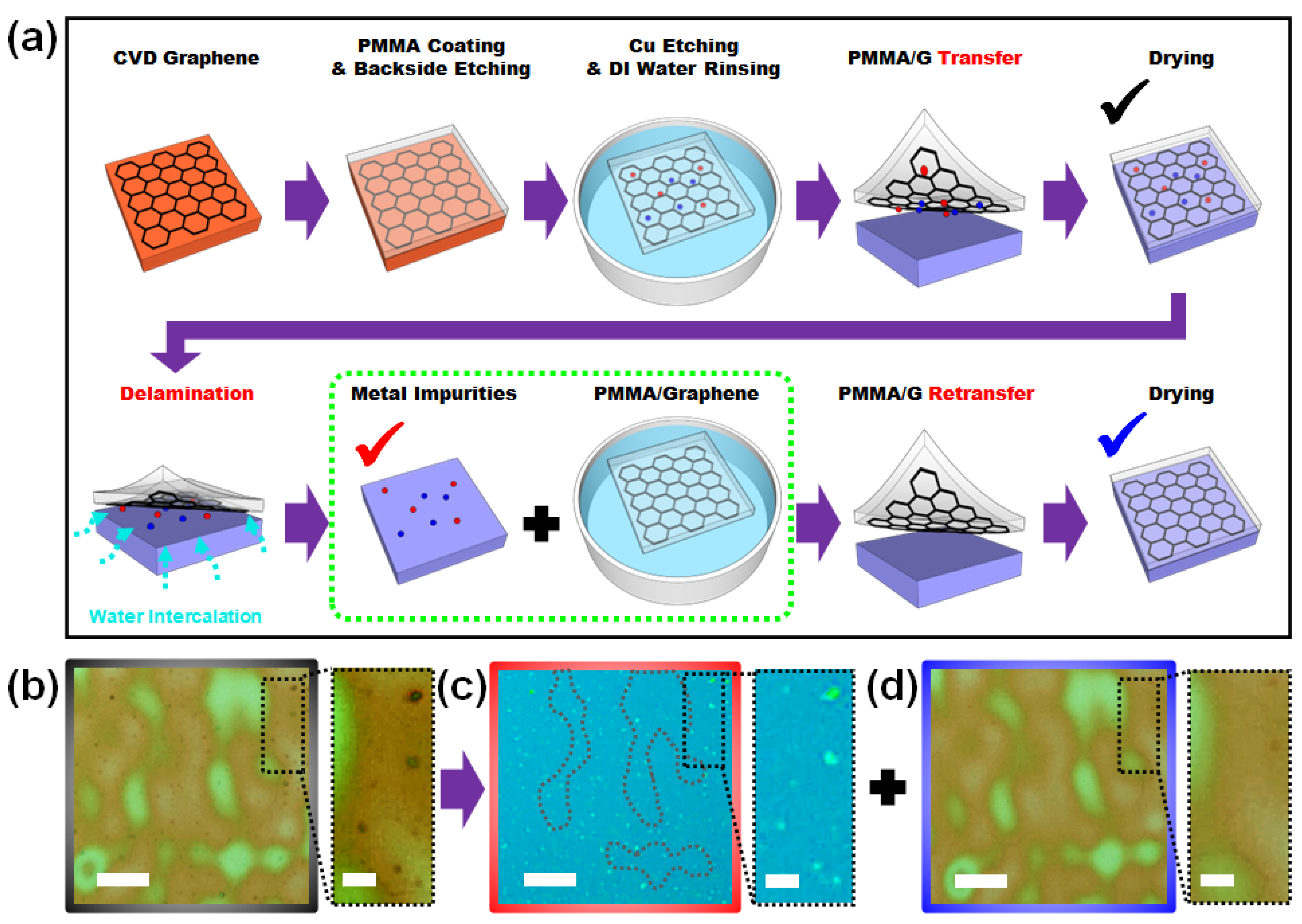 Nanomaterials 13 01494 g001