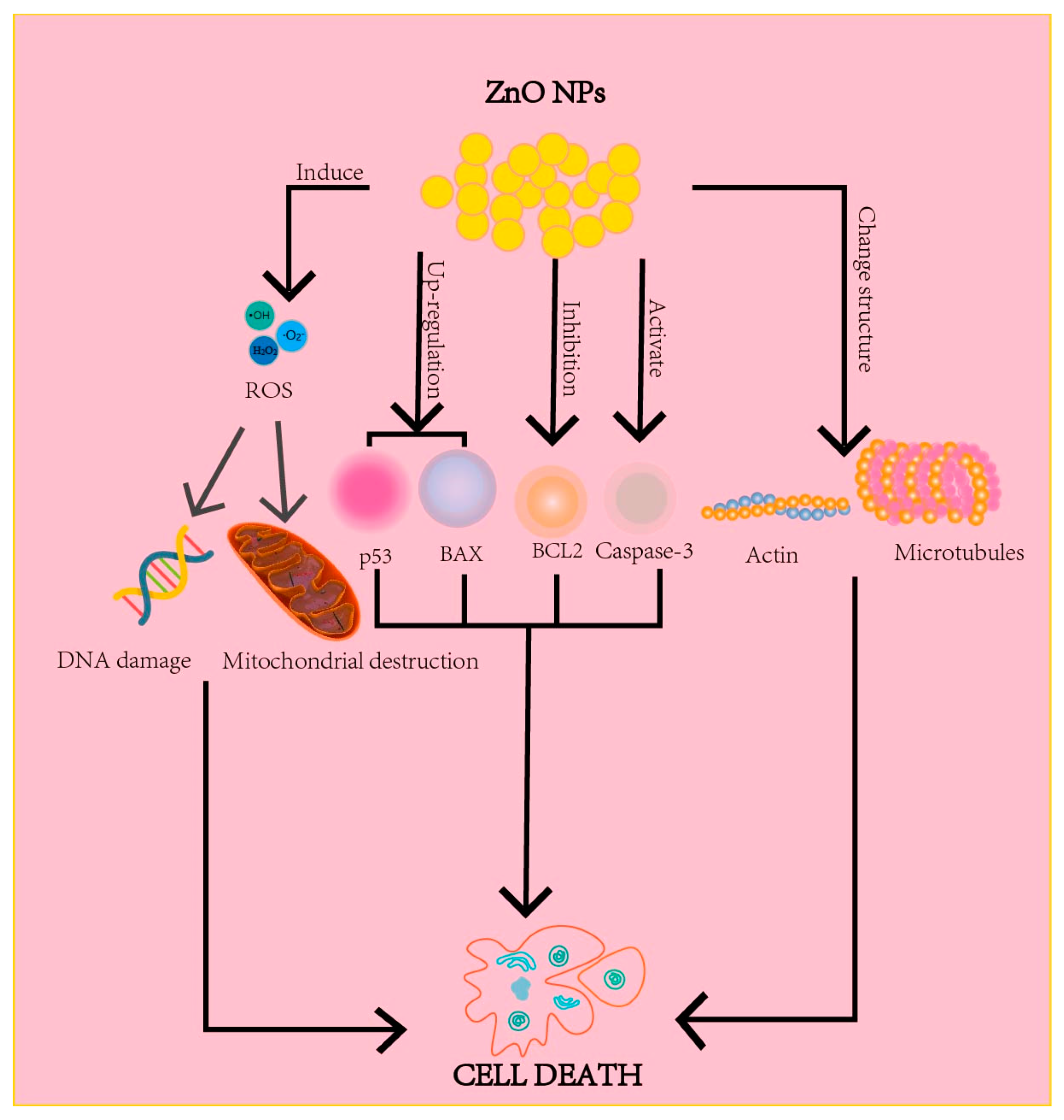 Nanomaterials 13 01500 g004