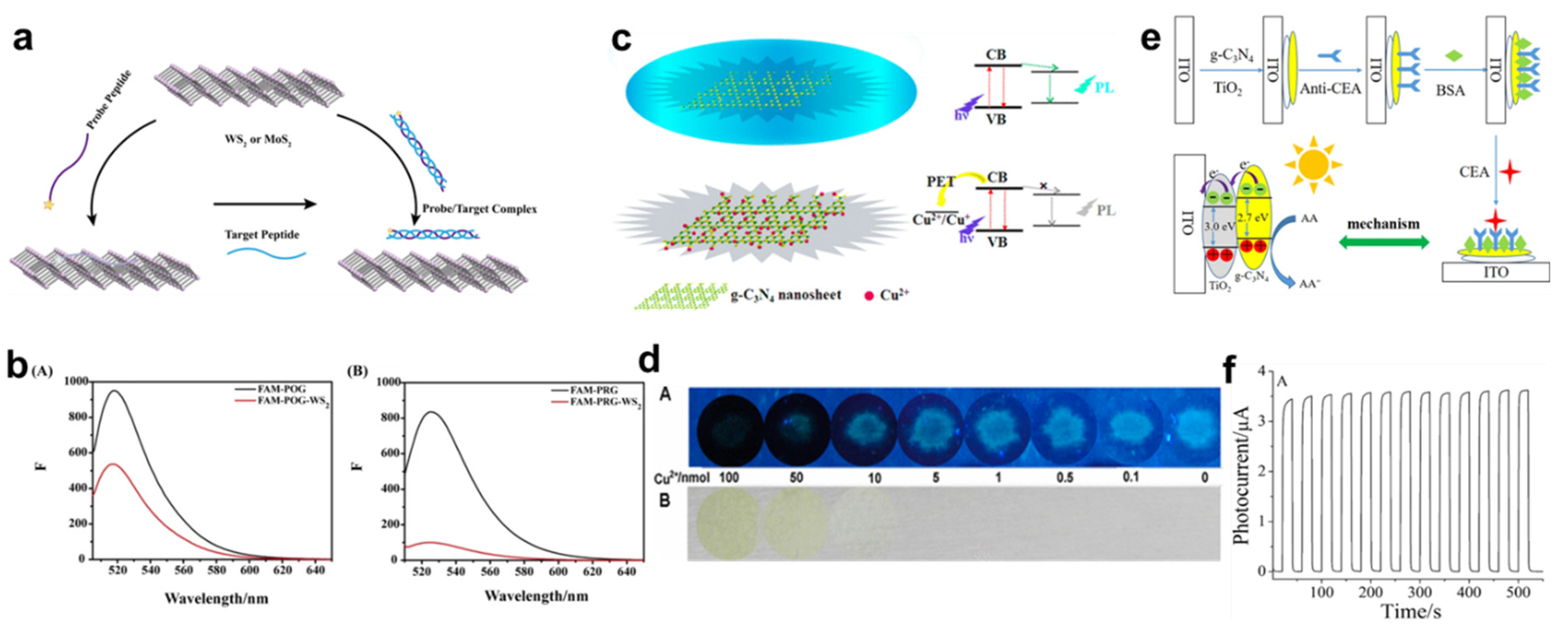 Nanomaterials | Free Full-Text | Development Of Two-Dimensional ...