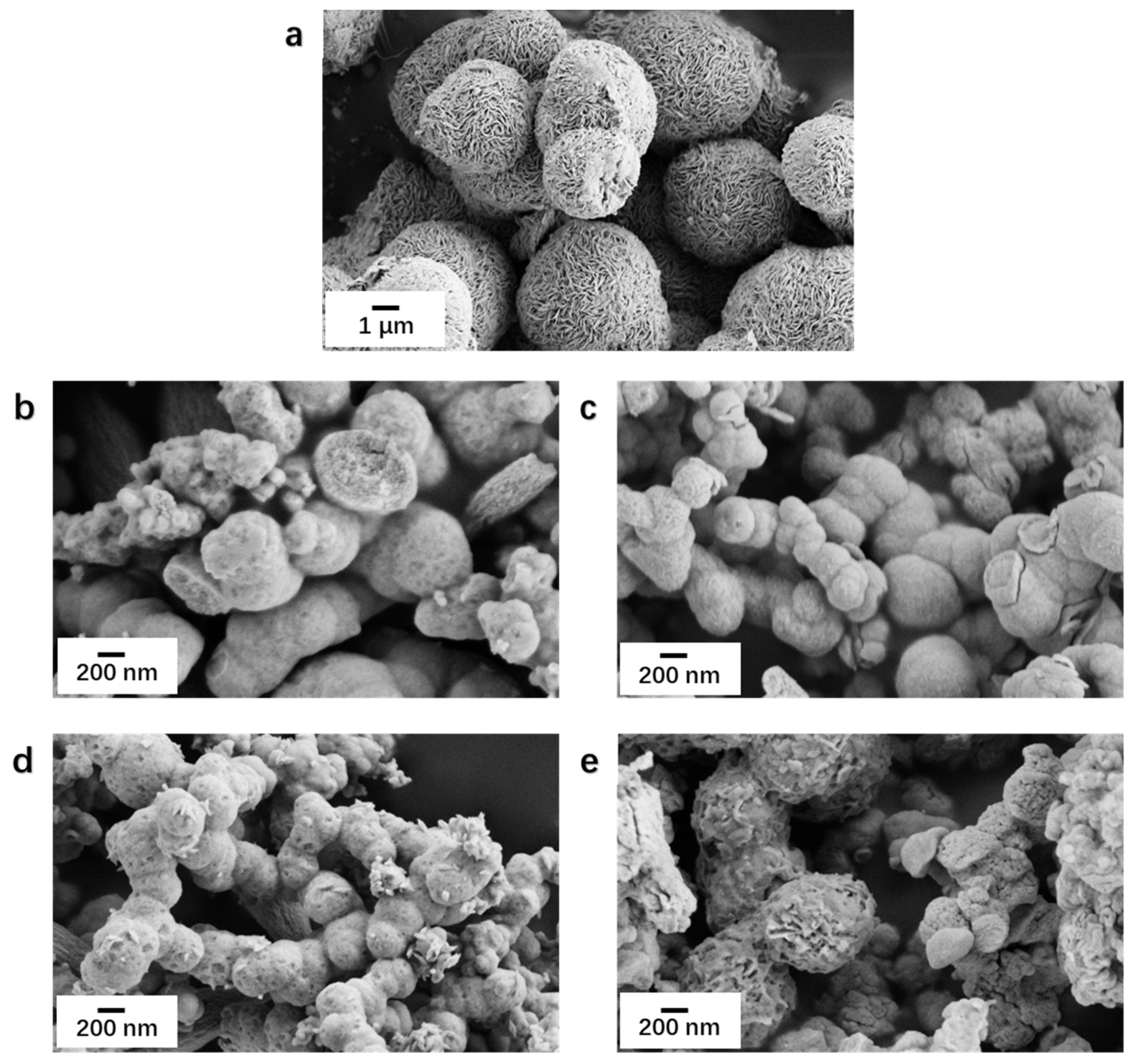 Nanomaterials 13 01522 g003
