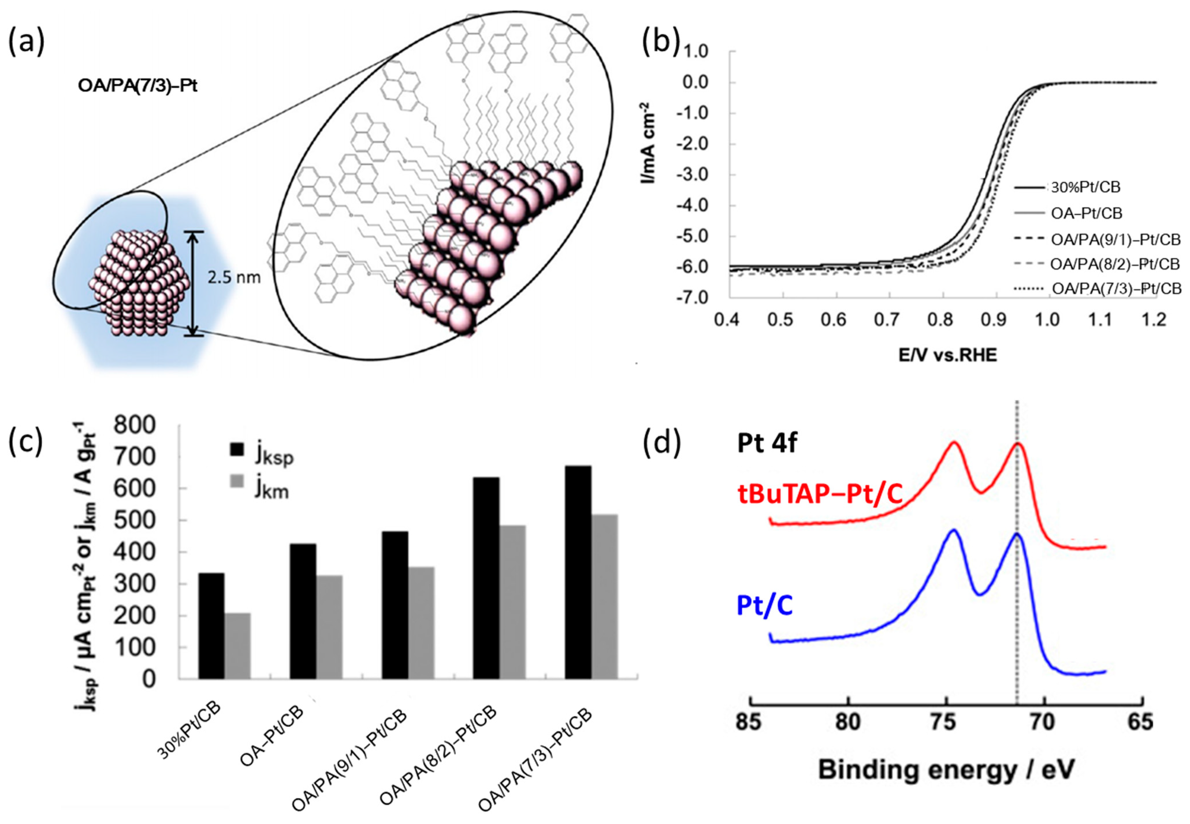 Nanomaterials 13 01544 g003