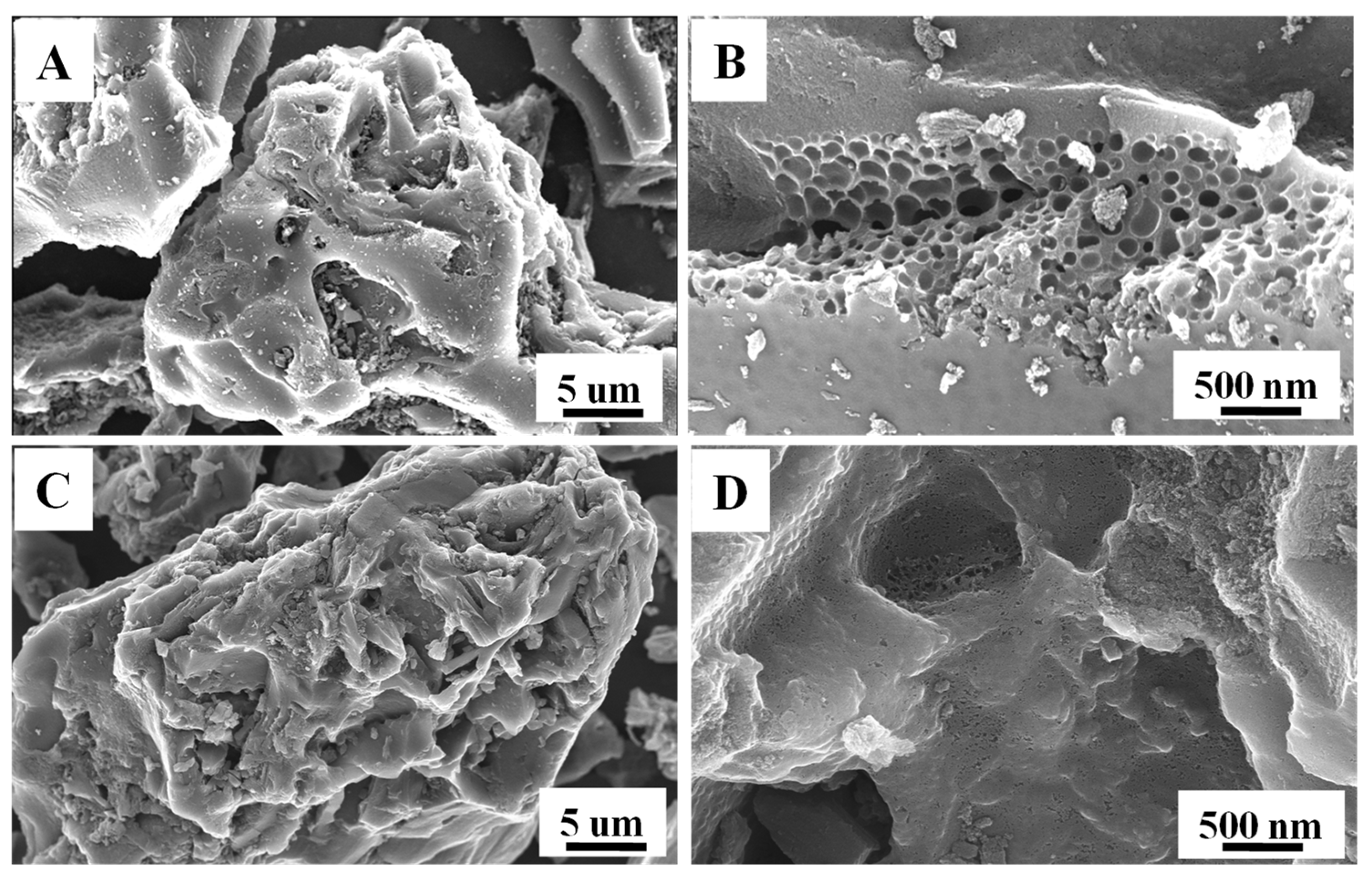Nanomaterials 13 01554 g004 Nanomaterials 13 01554 g004
