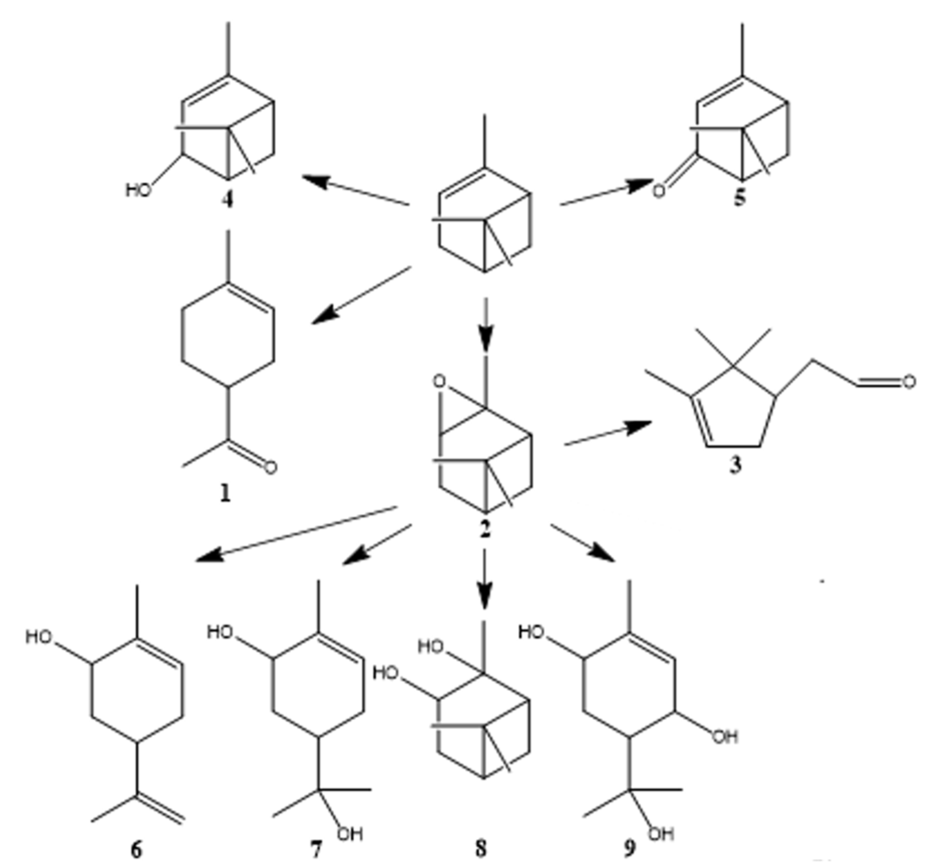 Nanomaterials 13 01554 g005 Nanomaterials 13 01554 g005