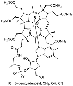 Nanomaterials 13 01557 i009 Nanomaterials 13 01557 i009