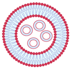 Nanomaterials 13 01557 i021 Nanomaterials 13 01557 i021