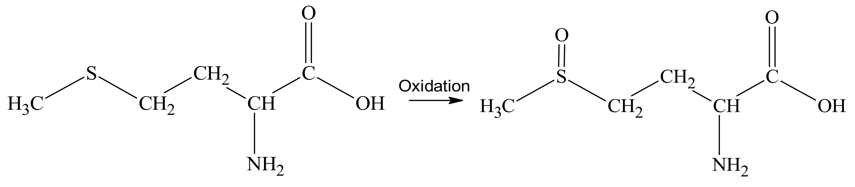 Nanomaterials 13 01577 g003 Nanomaterials 13 01577 g003