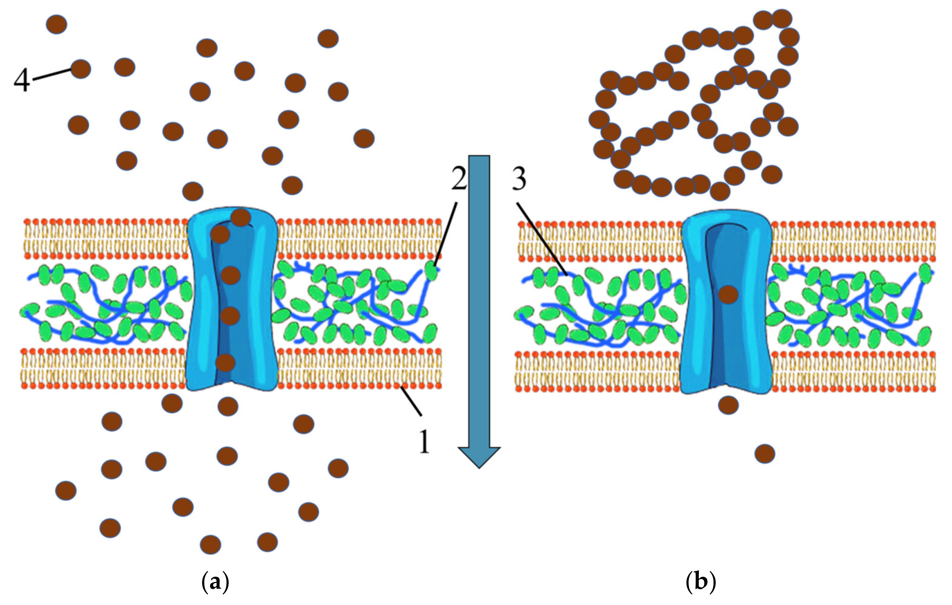 Nanomaterials 13 01577 g016 Nanomaterials 13 01577 g016