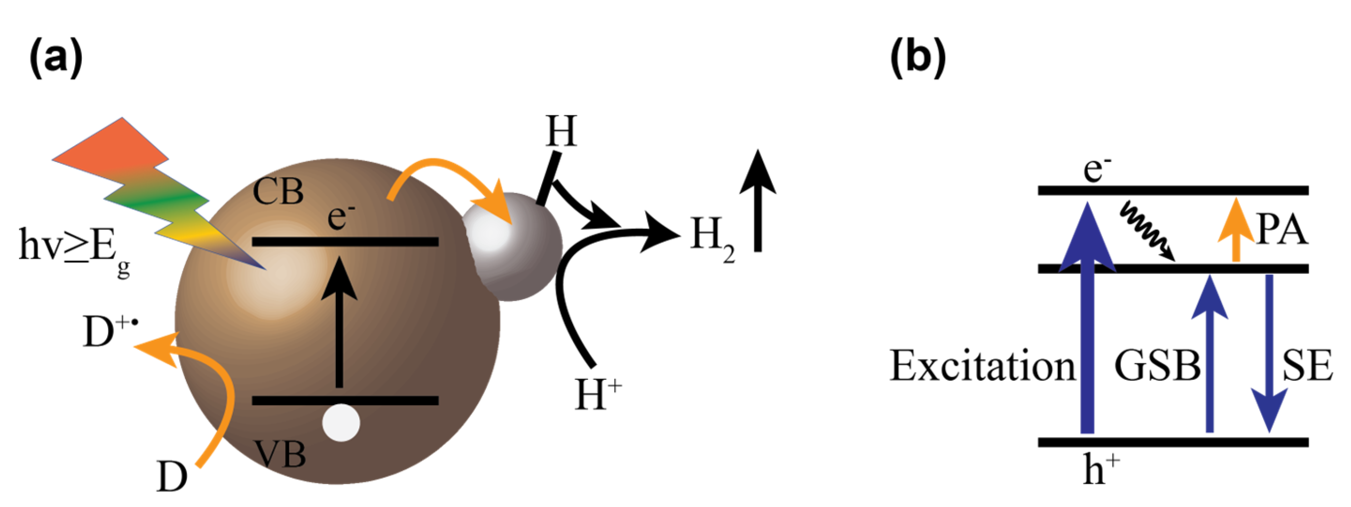 Nanomaterials 13 01579 g001