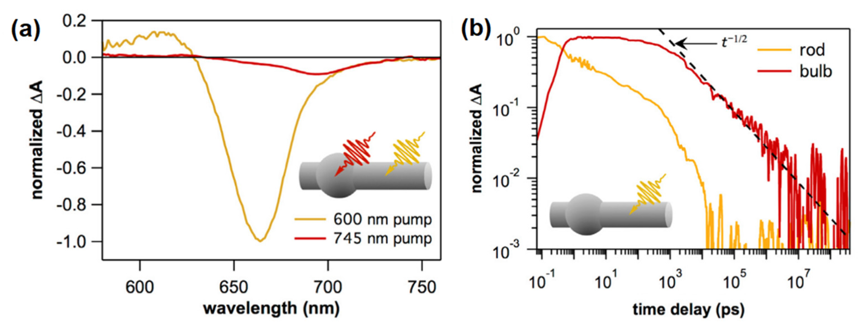 Nanomaterials 13 01579 g003